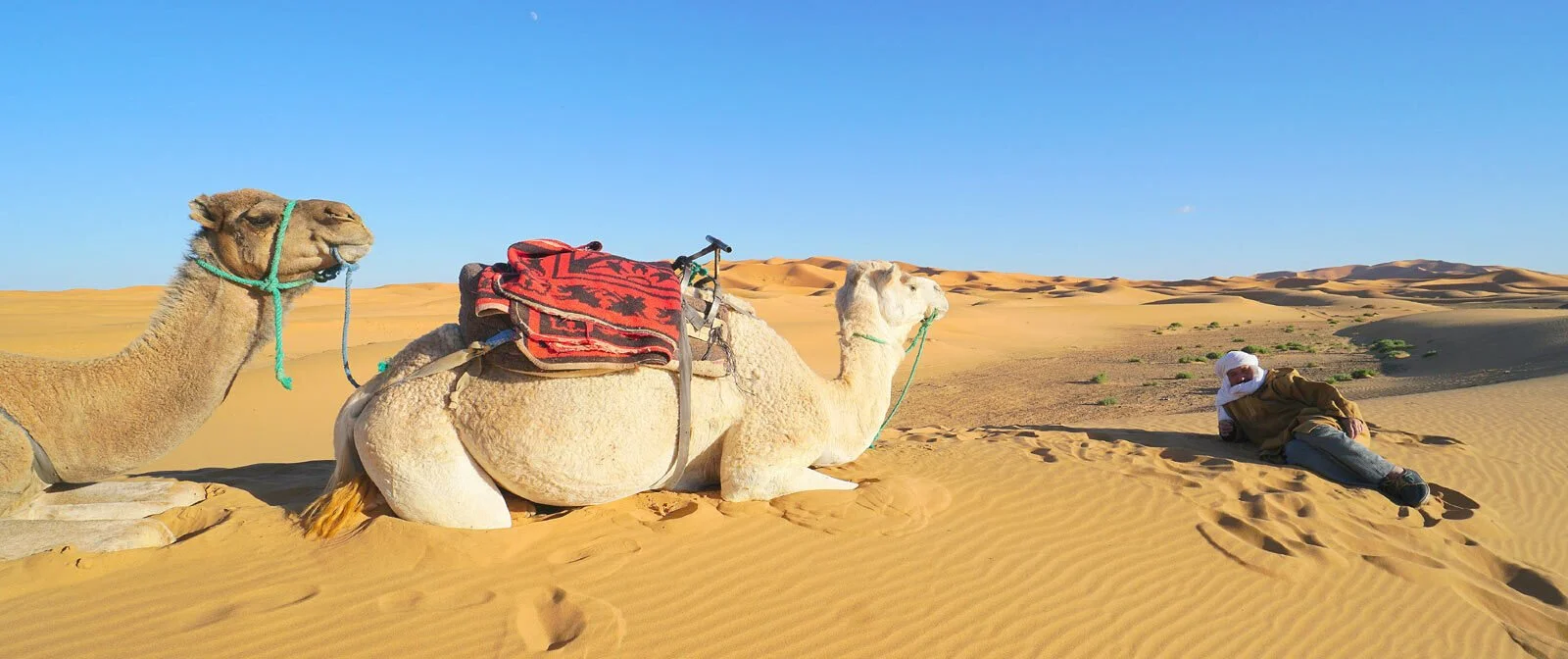 CAMEL-TREKKING-MOROCCO-2-e1693435834771.jpg