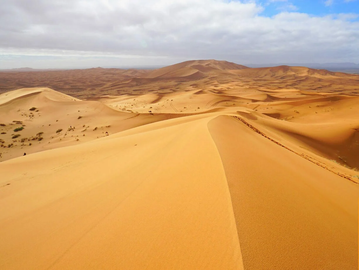 MOROCCO-SAHARA-DESERT-e1693439838459.jpg