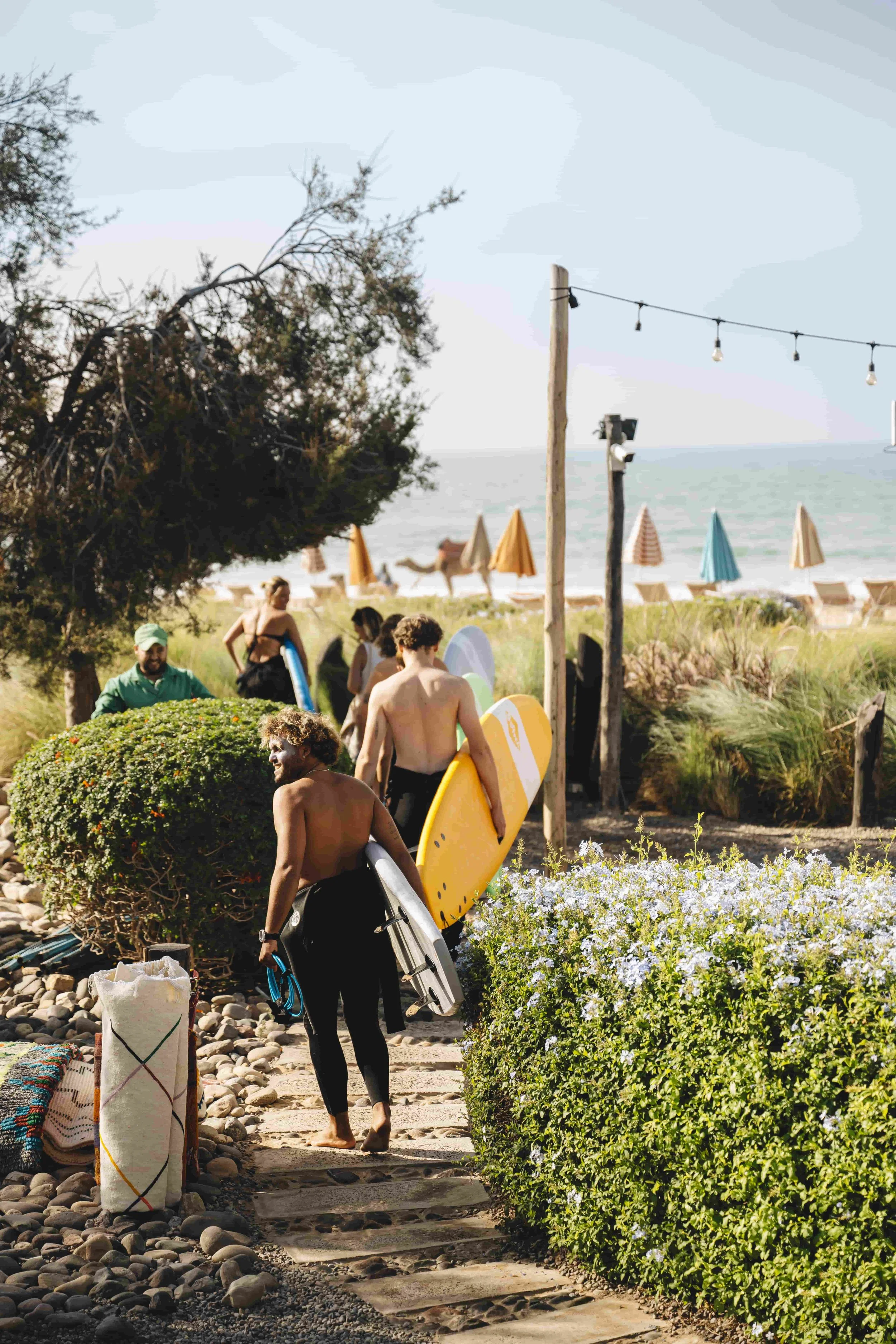 Beach-Front-Surf-Lesson.jpg
