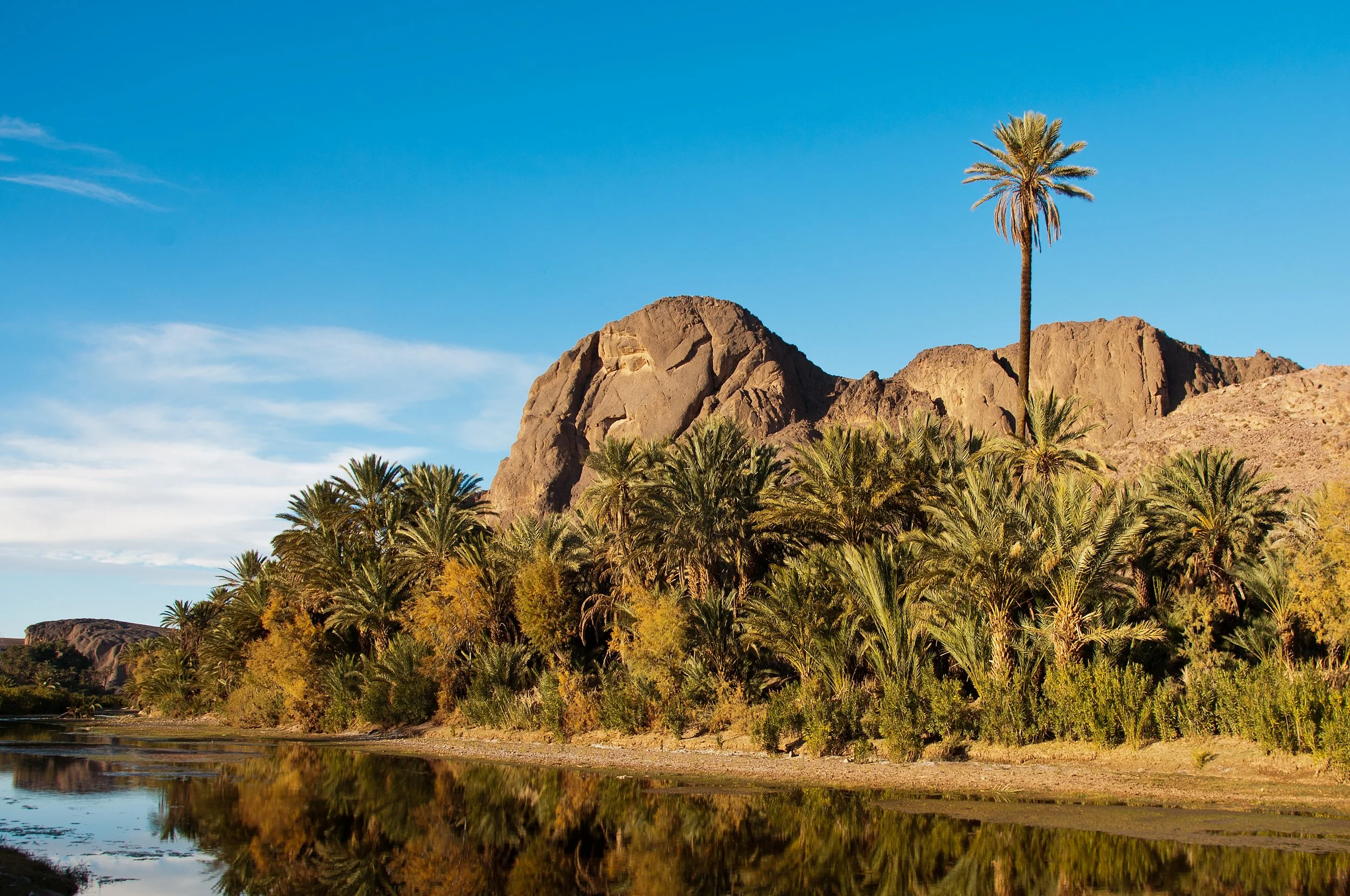 shutterstock_95048335 (2) (1).jpg