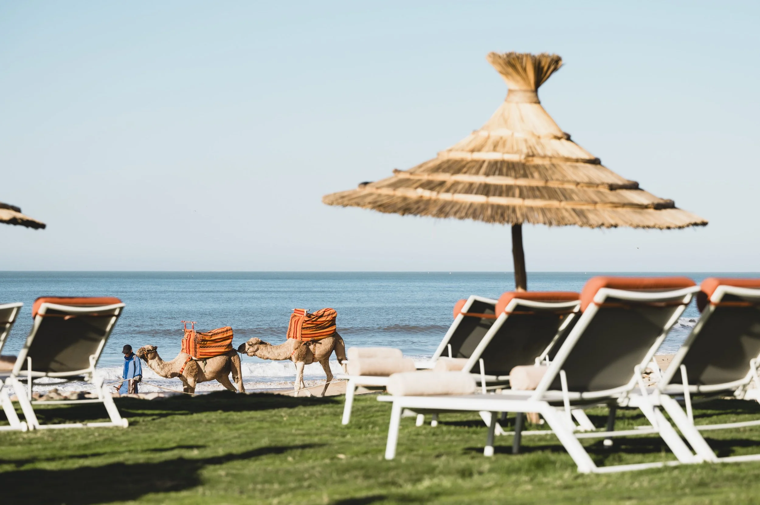 Beach-Front-Sunbeds-And-Camels.jpg