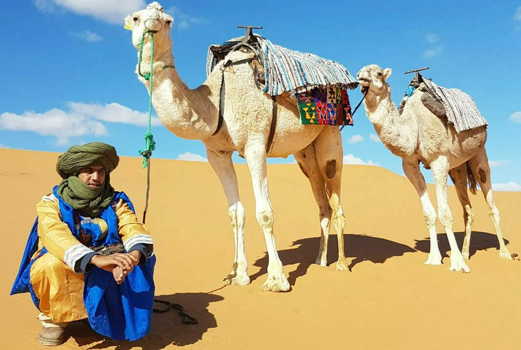 CAMEL-TREKKING-MOROCCO-e1687365992632.jpg