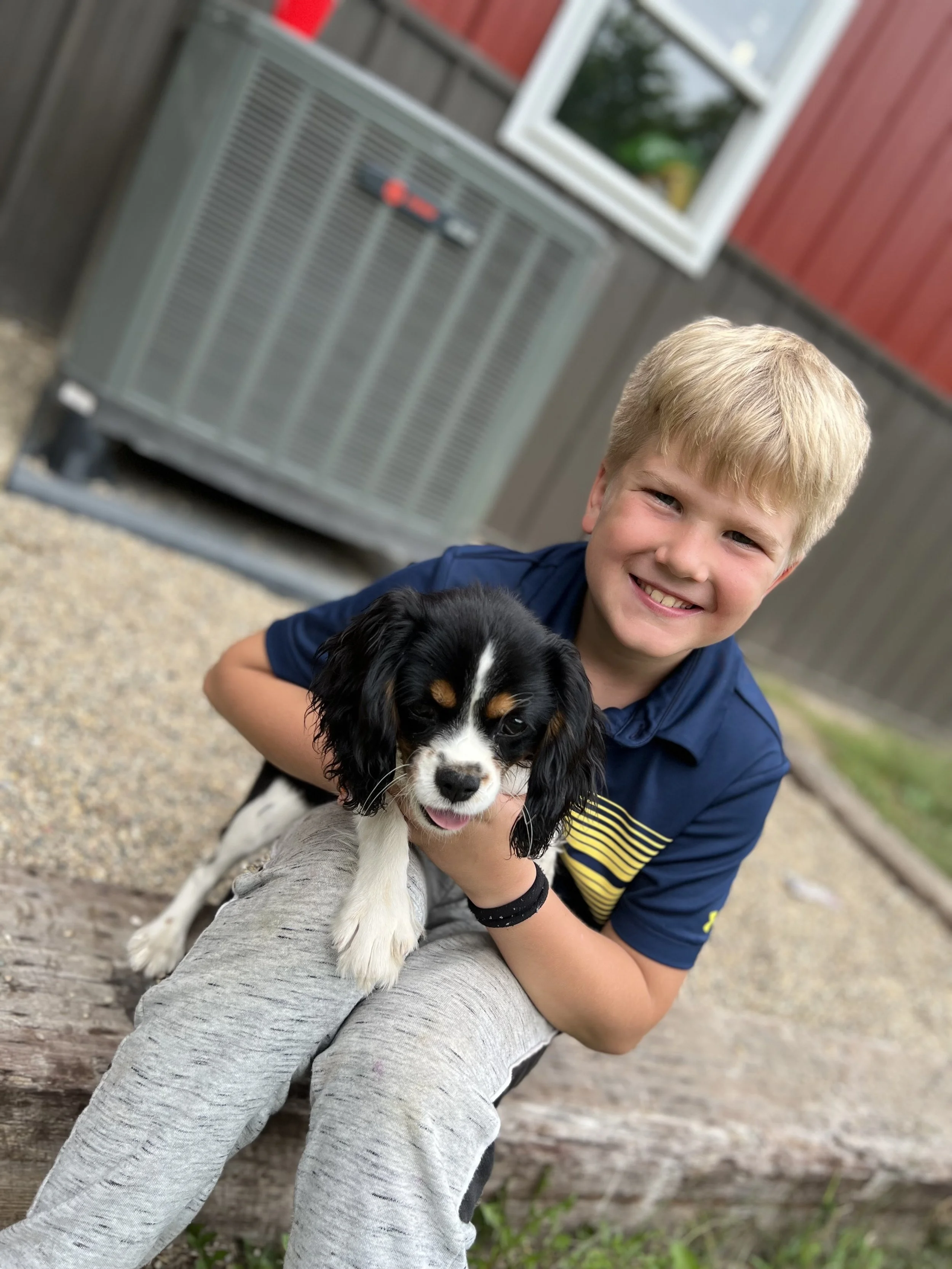 partner of pet trek transport holding puppy safetly during transportation