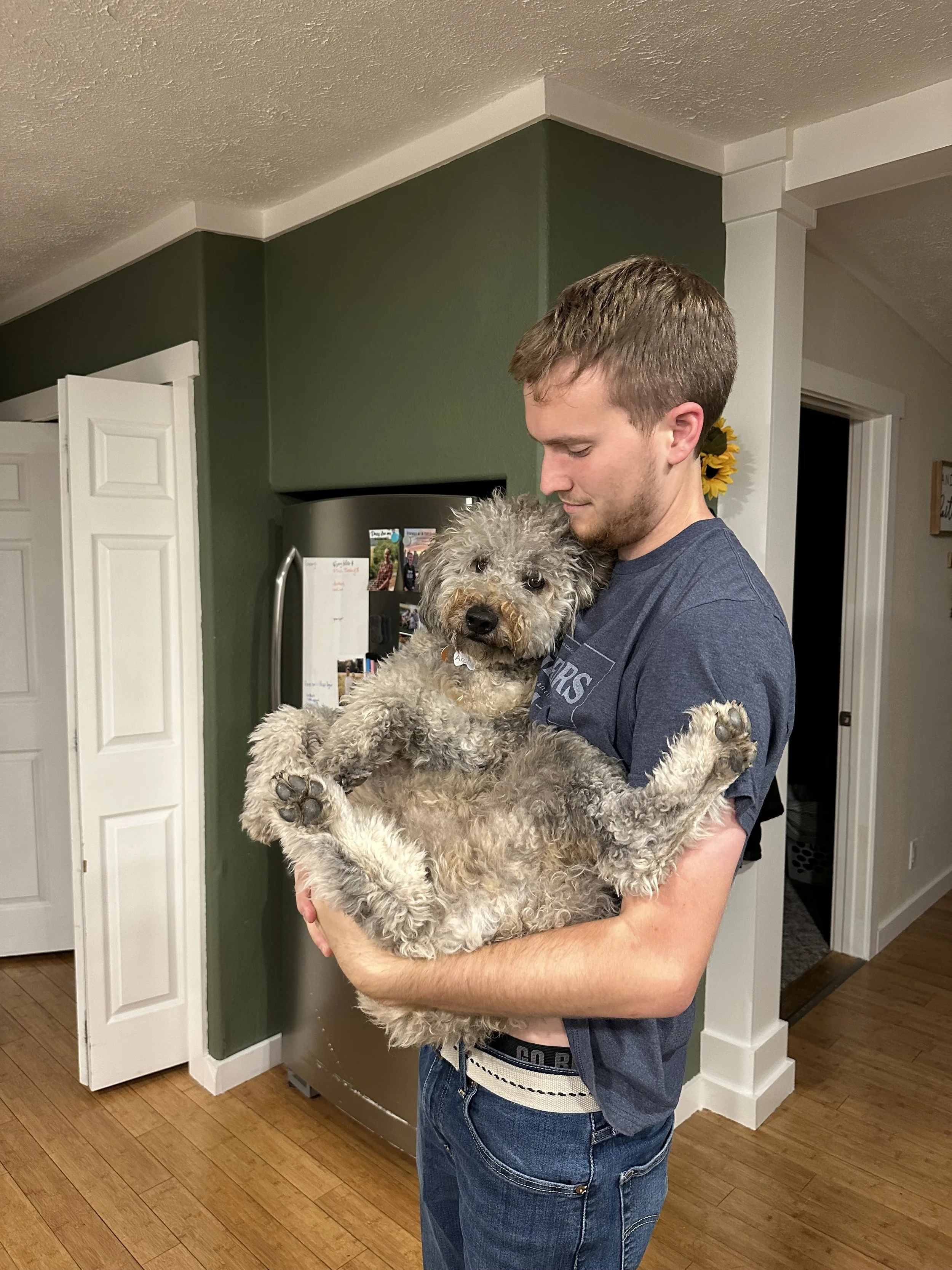 A young man holding a fluffy gray dog inside a home with a green wall and wooden floor.