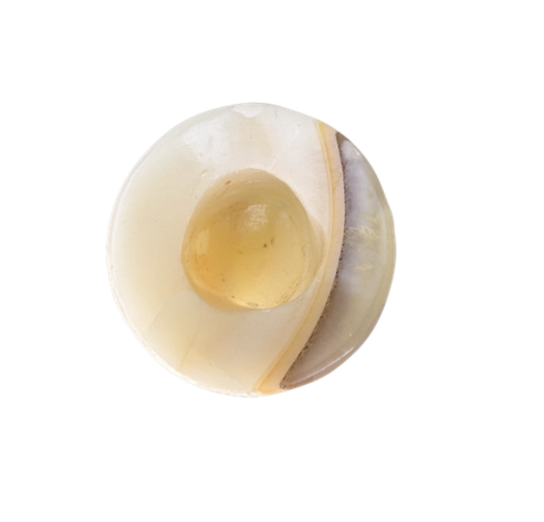 Screenshot 2026-04-09 at 7.55.04 PM.png