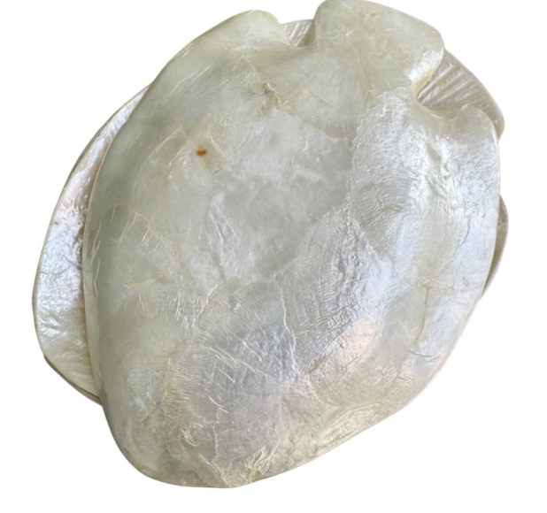 Screenshot 2026-04-16 at 2.50.55 PM.png