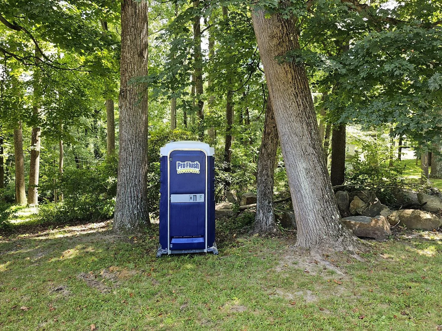 Summer Portable Toilet Rentals