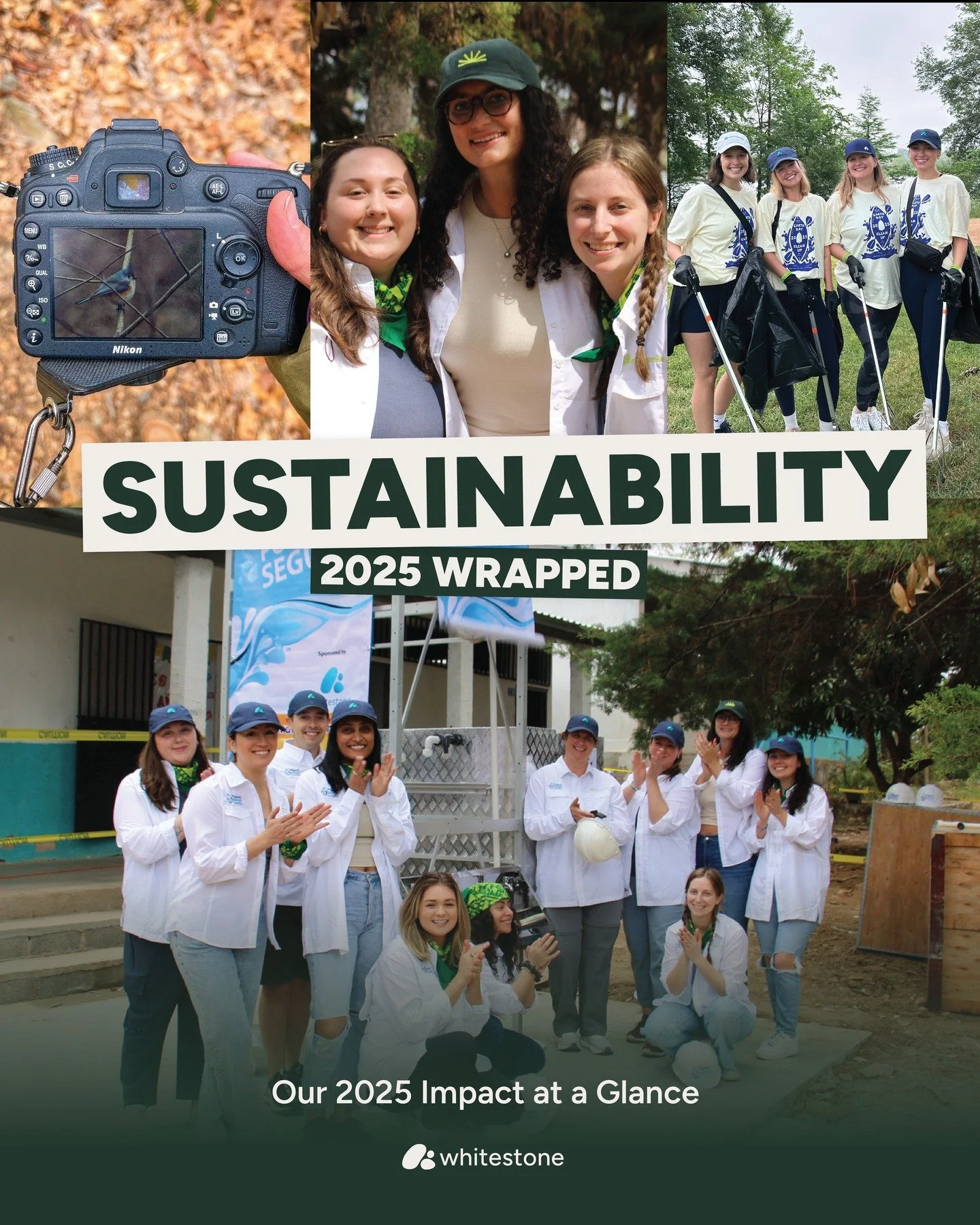 Every day this year, we've woven sustainability into the fabric of everything we do. Through RISE, our initiative dedicated to Responsible Impact and Sustainable Excellence, we've transformed intention into action and commitment into measurable progr