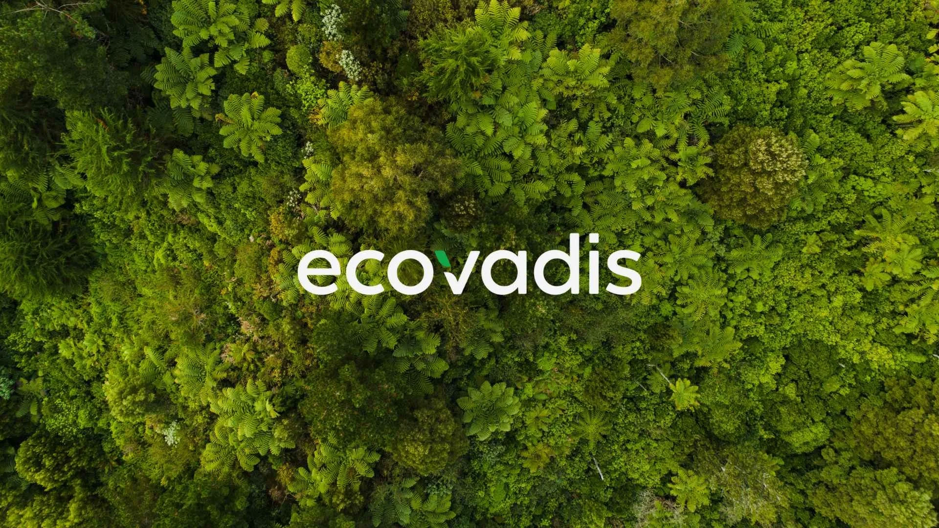 Whitestone Earns Bronze EcoVadis Rating