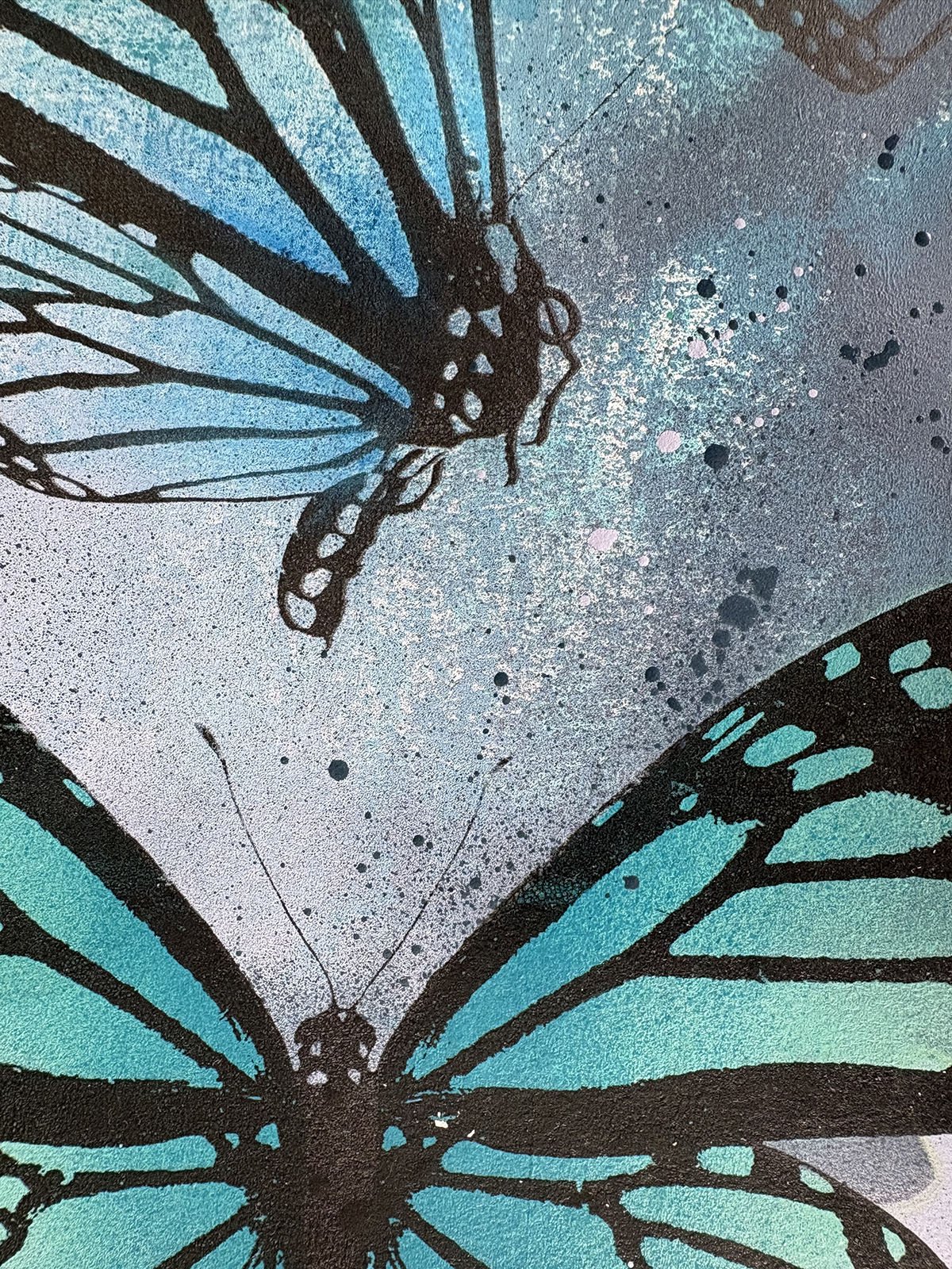 Close-up of a butterfly with black and blue wings, resting on a textured, speckled surface with splashes of pink and black.