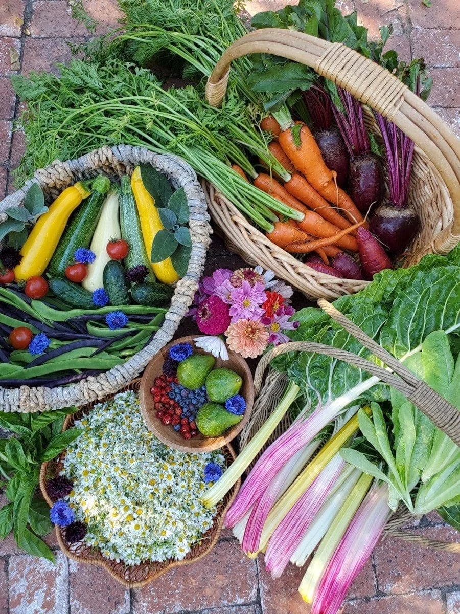 Welcome to your summer harvest 