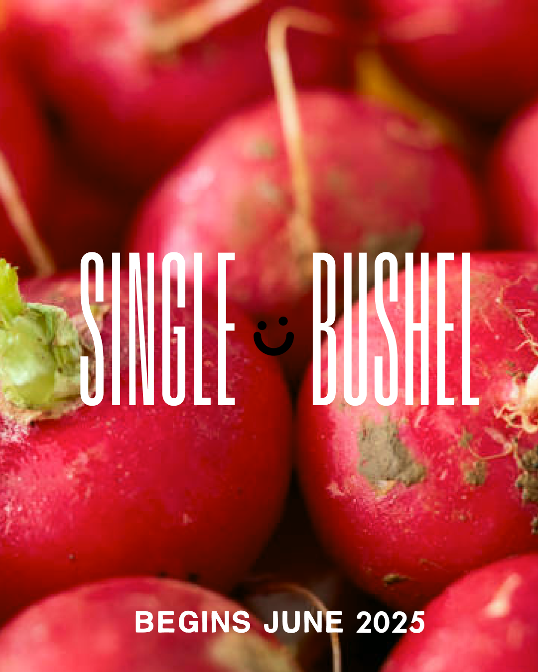 CSA Single Bushel.png