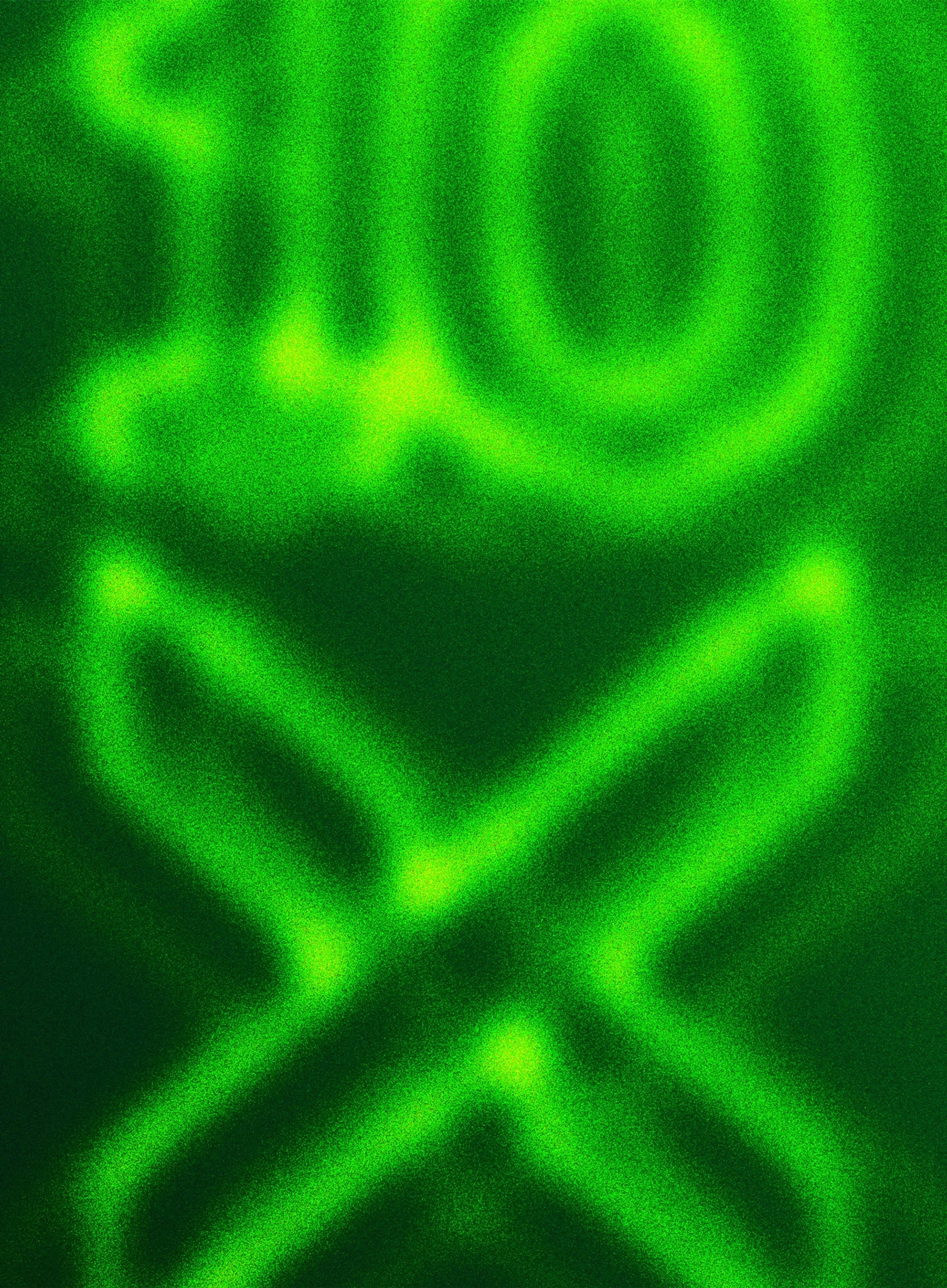 41464a5c611d97bc5621a3b0a571d8340cfd0a14-1378x1875.jpeg