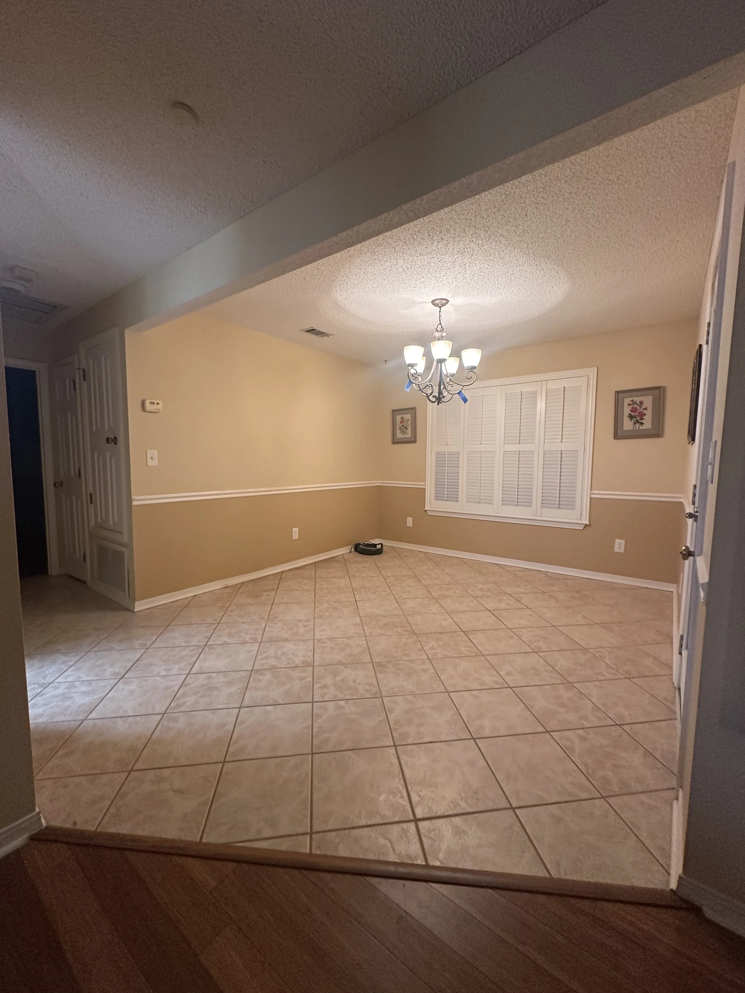 BEFORE - DINING ROOM
