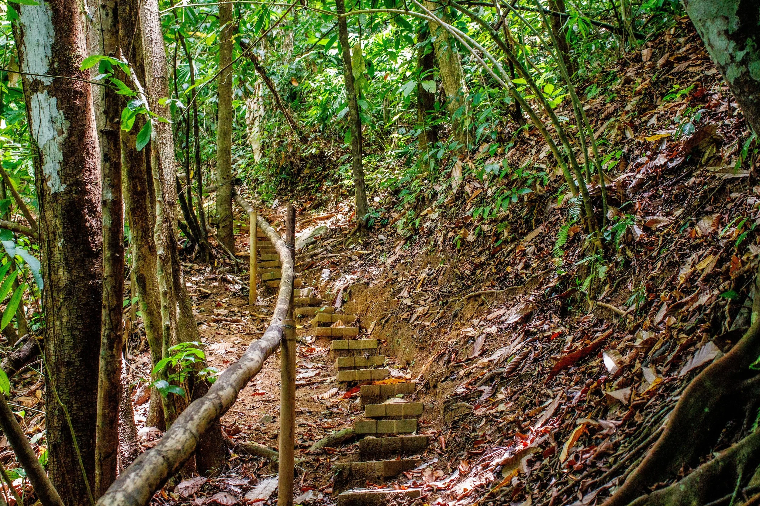 Hiking Path to Waterfalls