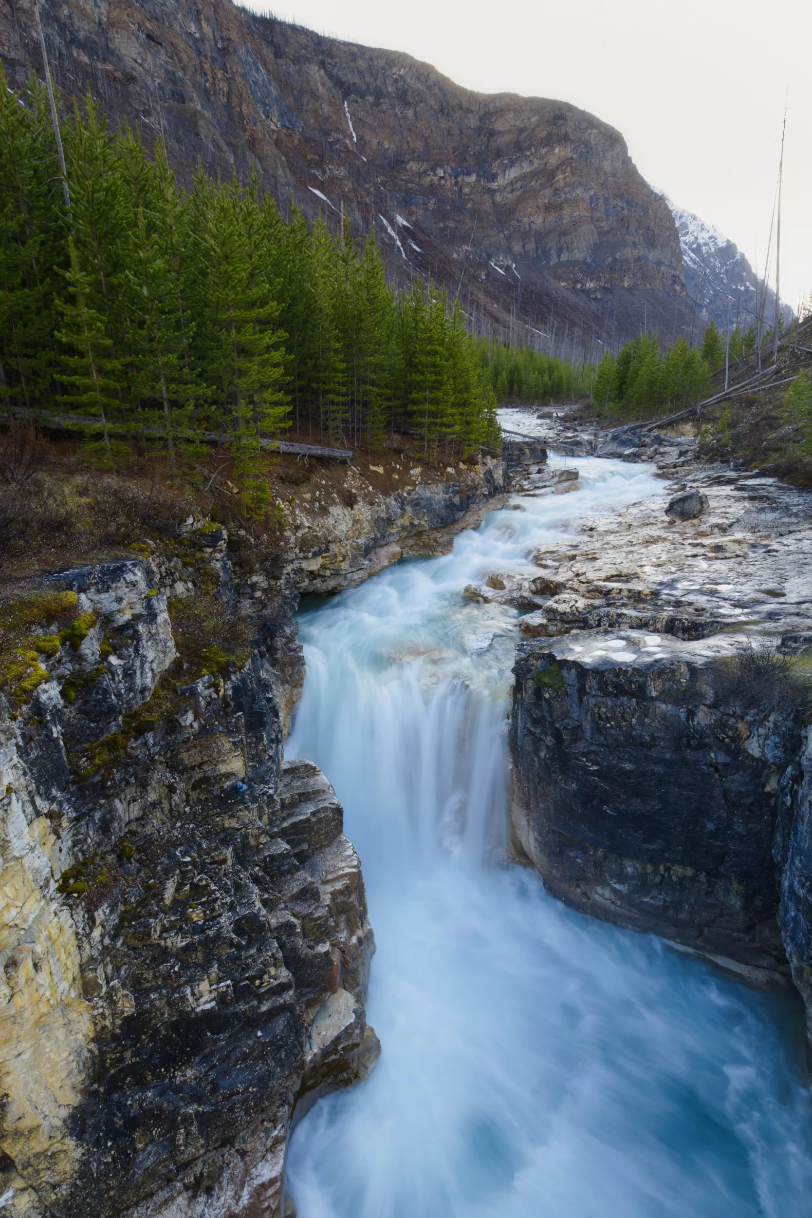 Late Spring Cascades