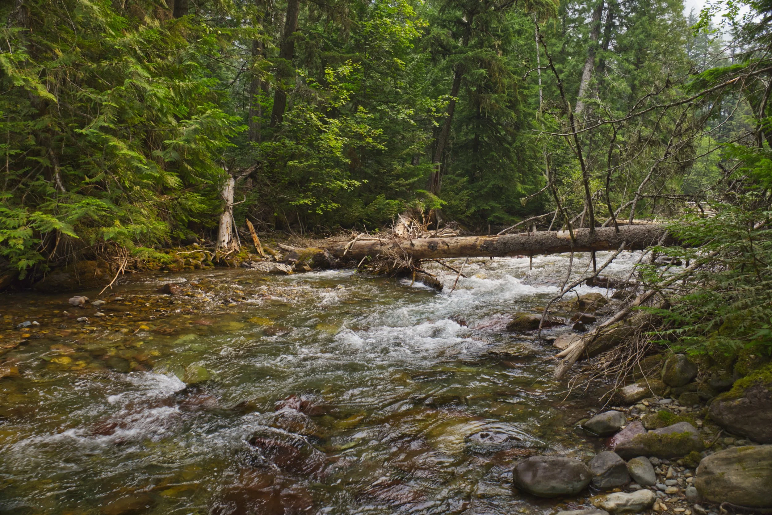 River Crossings