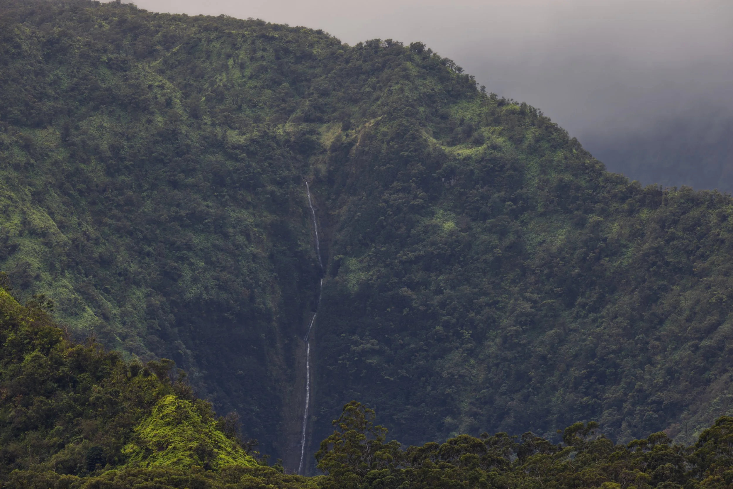 Distant Falls of the Palauhulu Stream