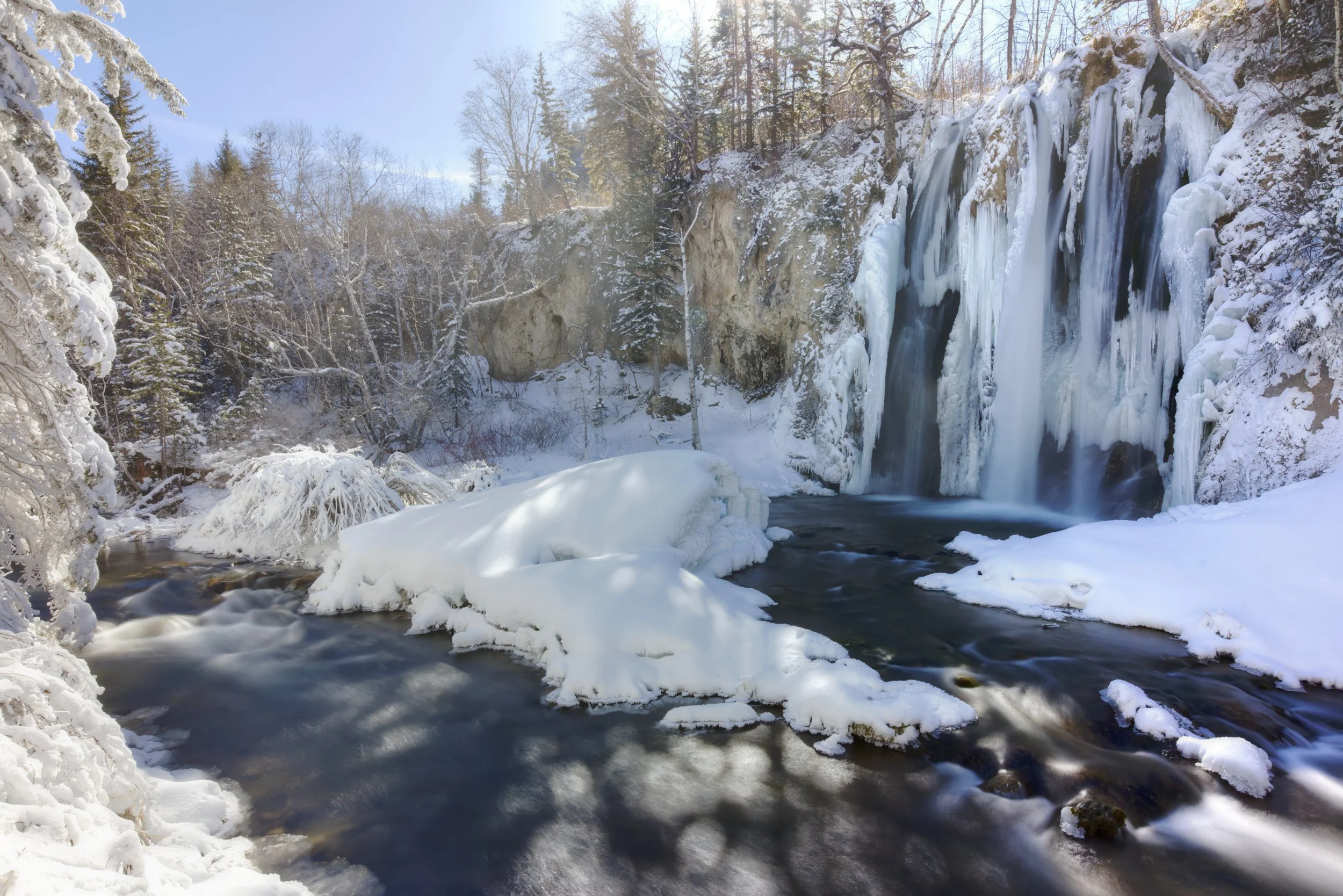 Mid-Winter's Day Dream