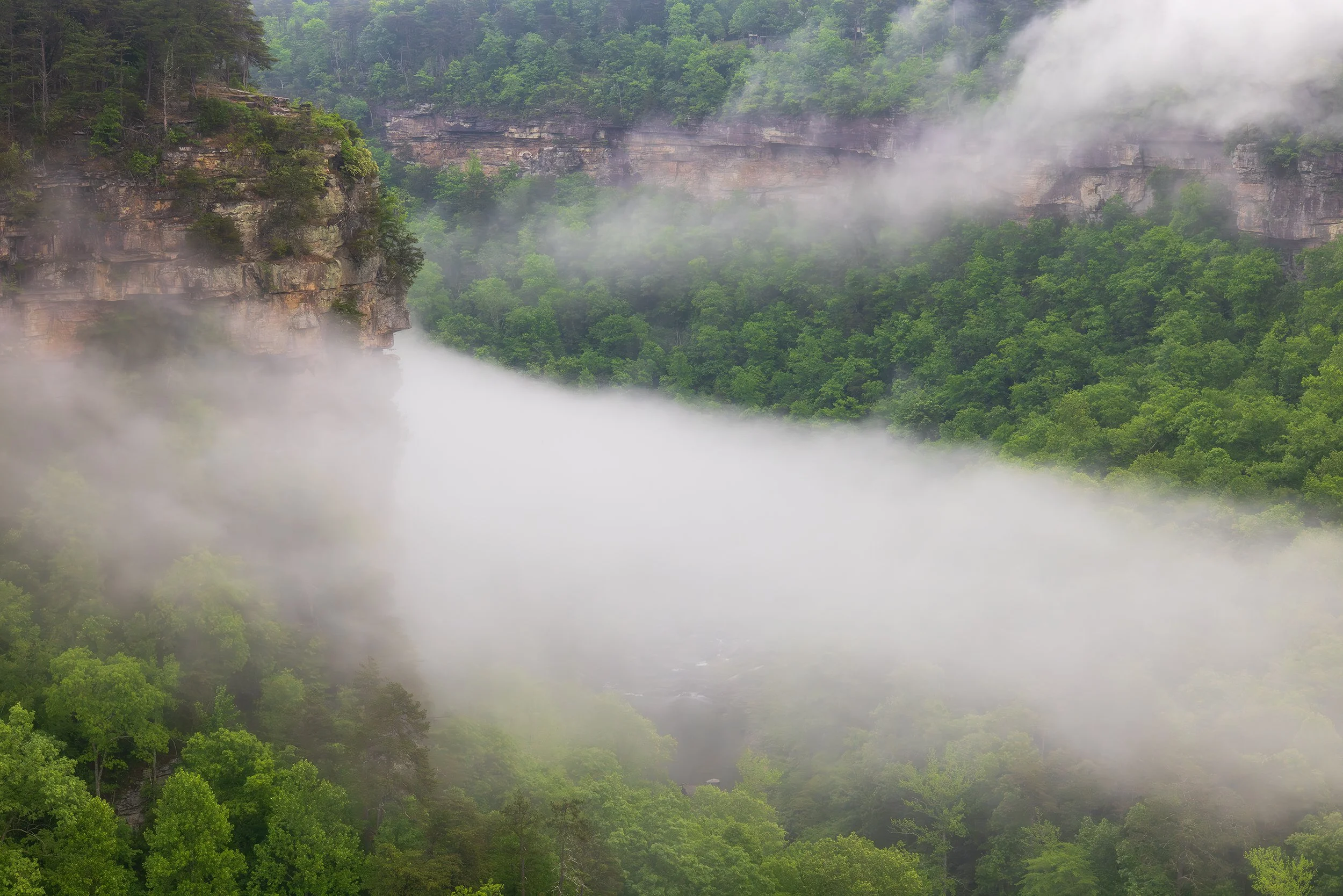 Misty Morning.jpg