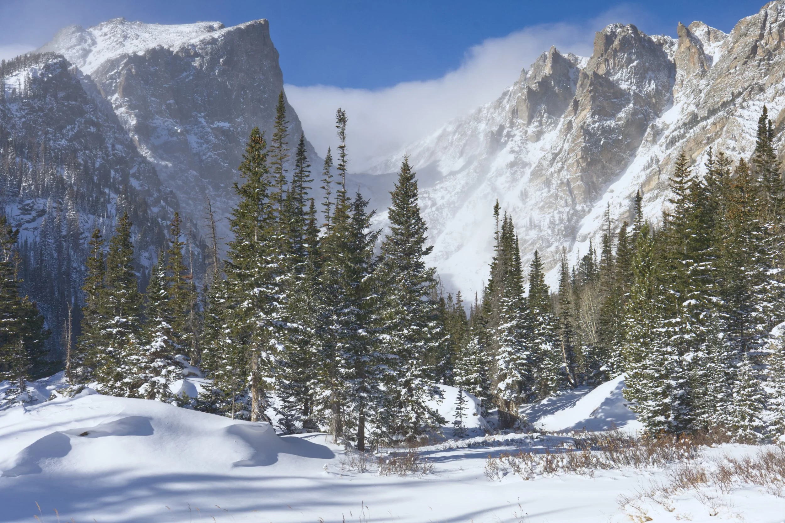 High in the Rocky Mountain Wilderness