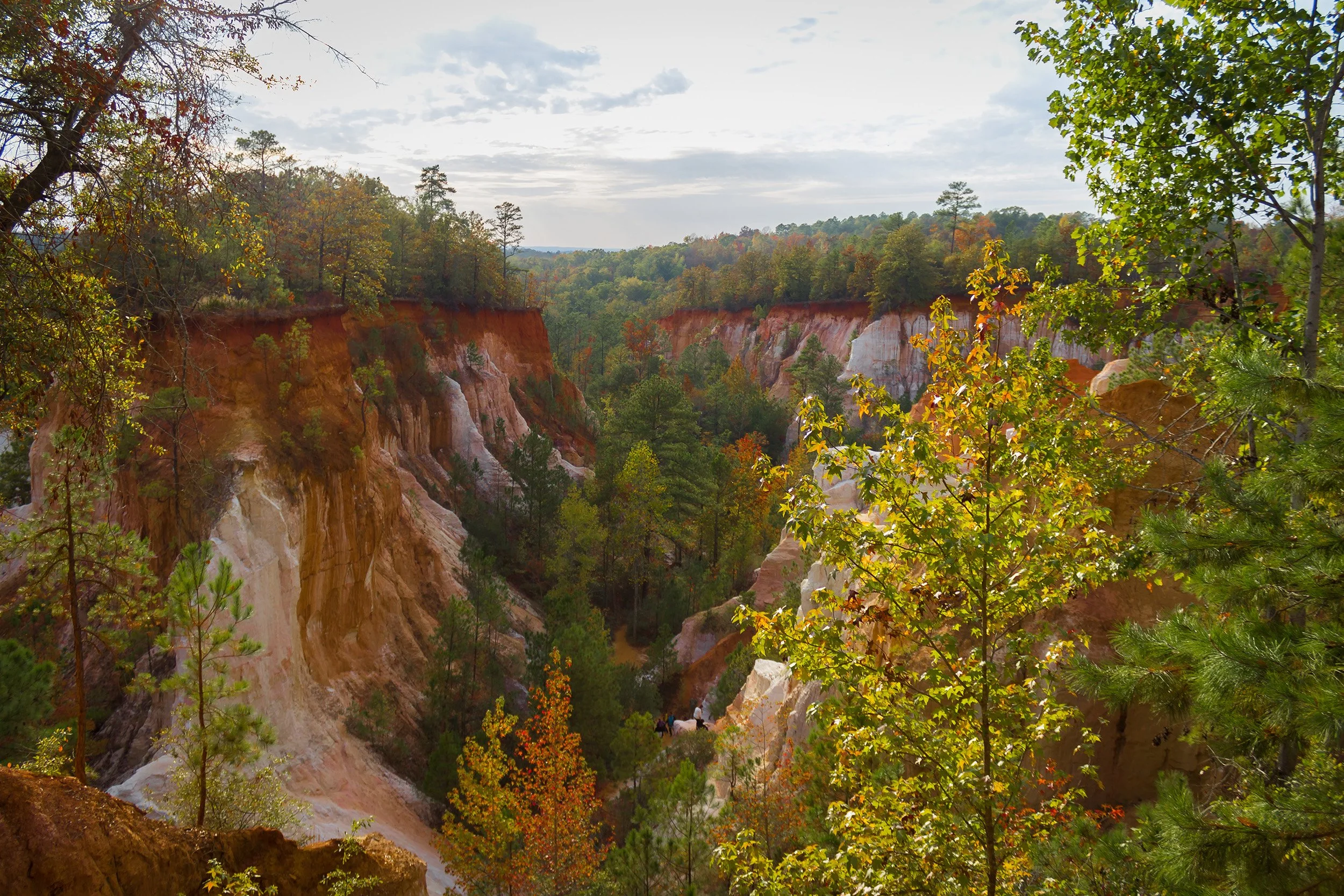 providence-canyon-state-park-georgia-autumn.jpg