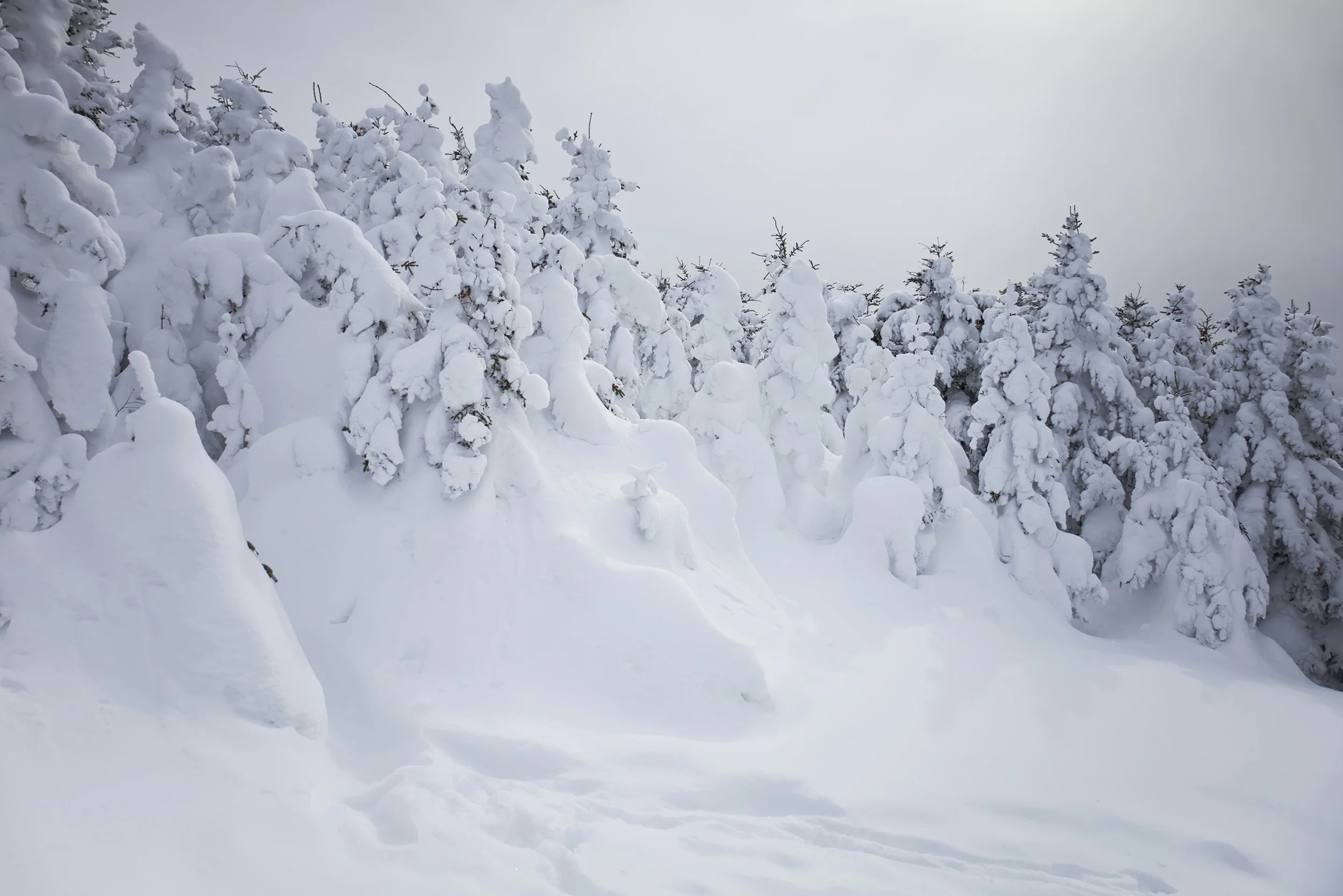 adirondack-winter-snow-covered-trees-cascade-mountain.jpg