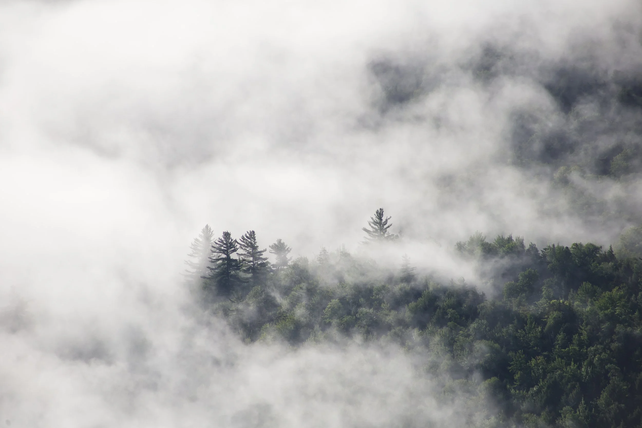 adirondack-mountains-fog-big-slide-summer-mornings.jpg