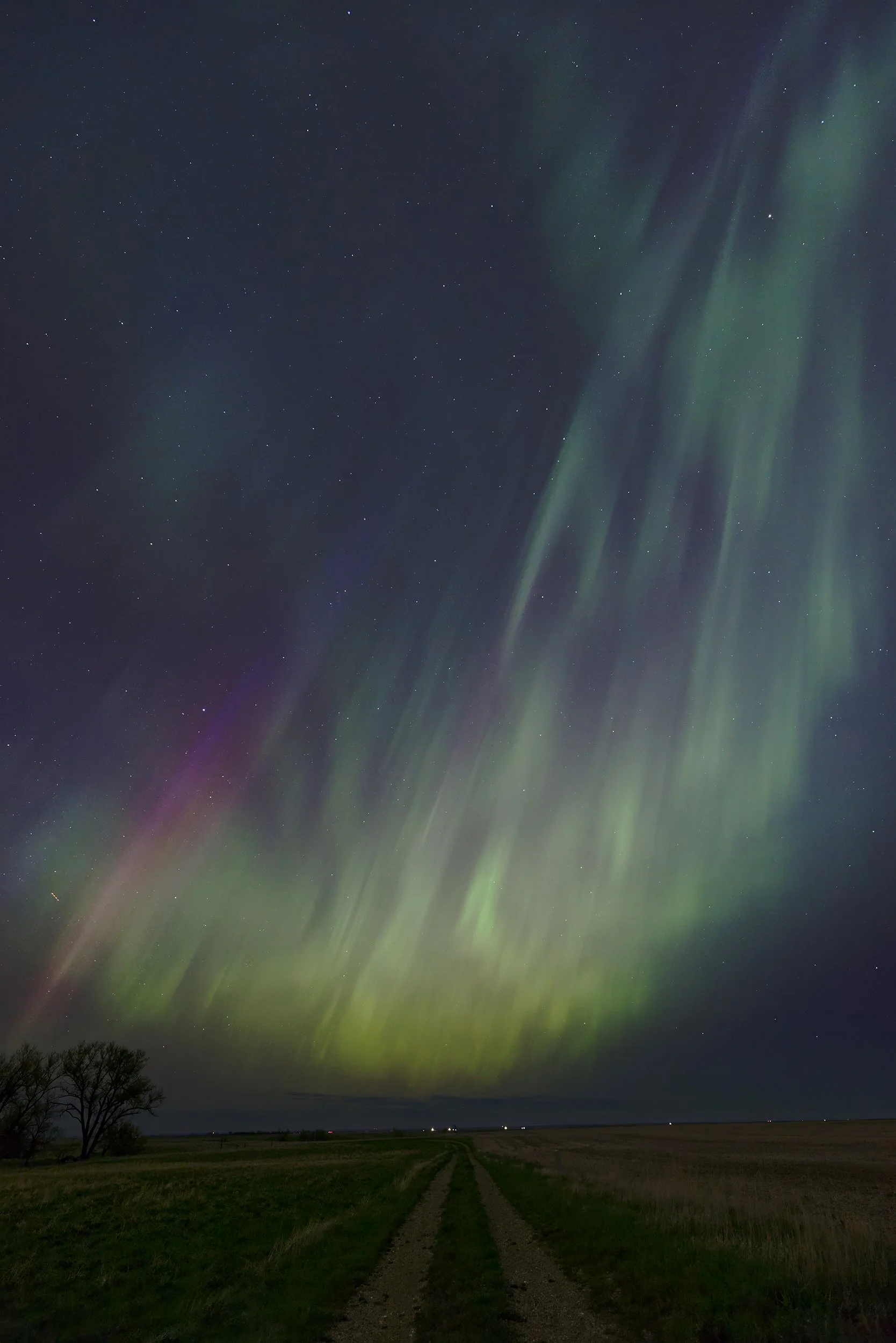 south-dakota-prairie-northern-lights-may-2024.jpg