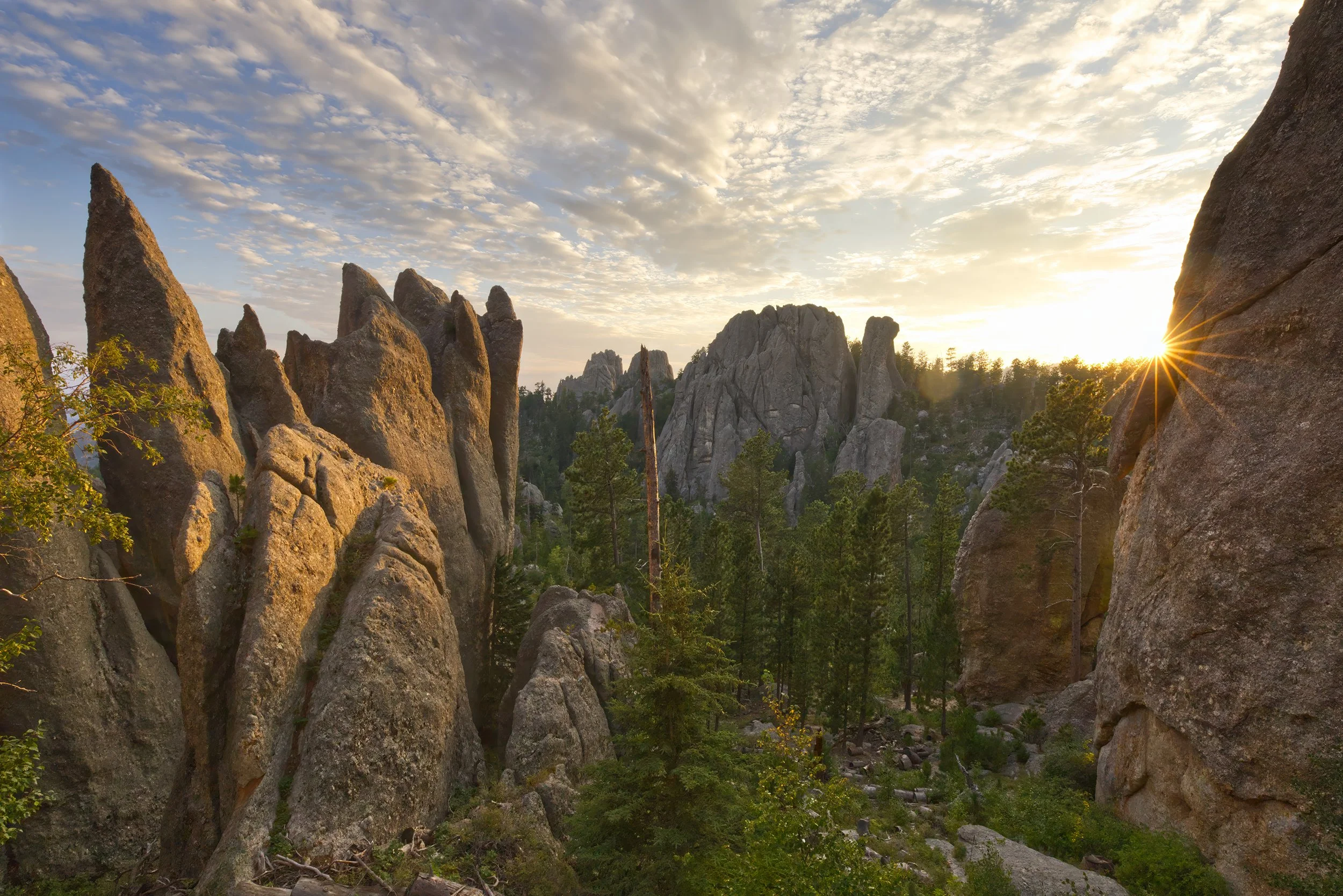 black-hills-national-forest-south-dakota-needles-highway-custer-state-park.jpg