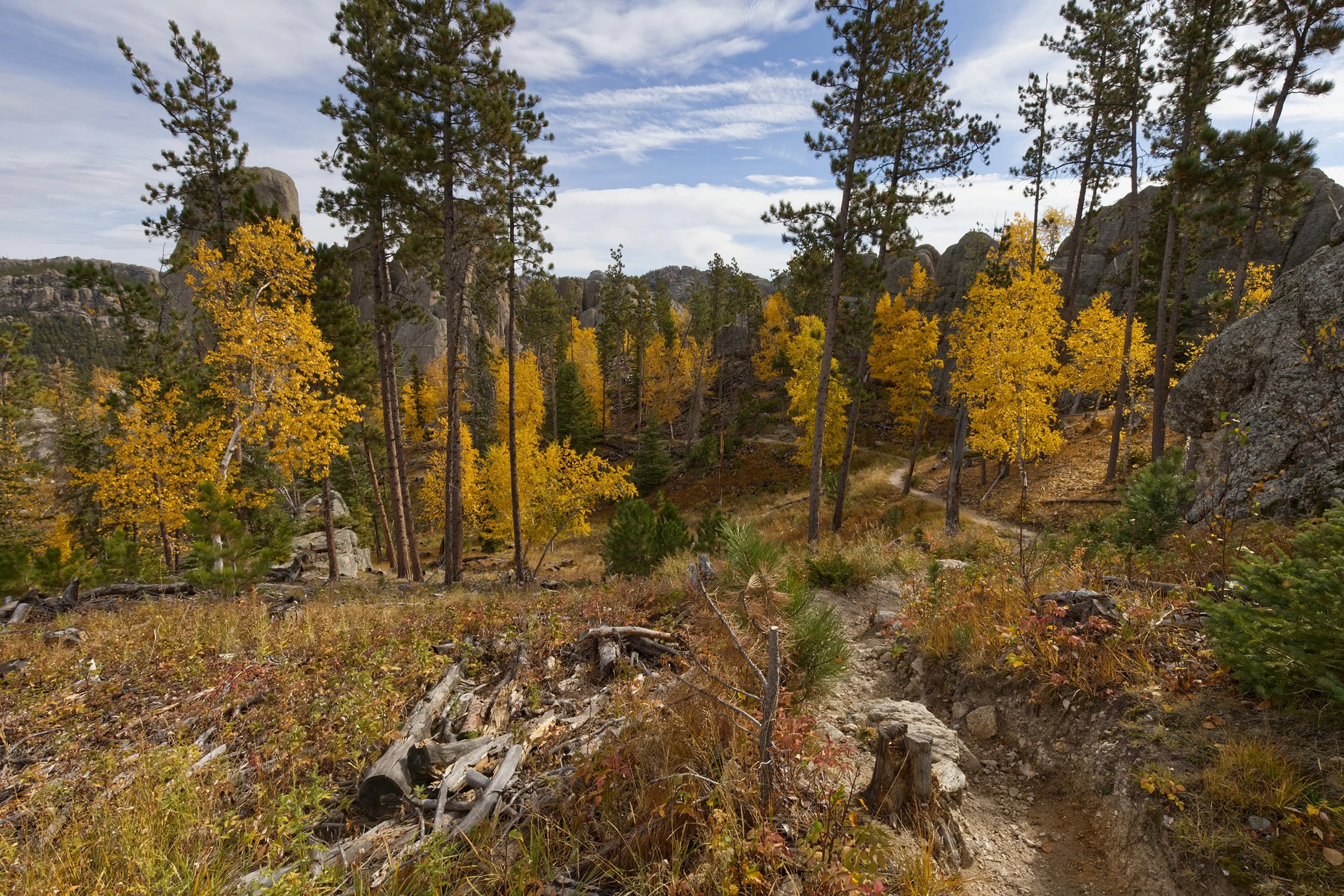 black-hills-national-forest-custer-state-park-south-dakota-autumn-hiking.jpg