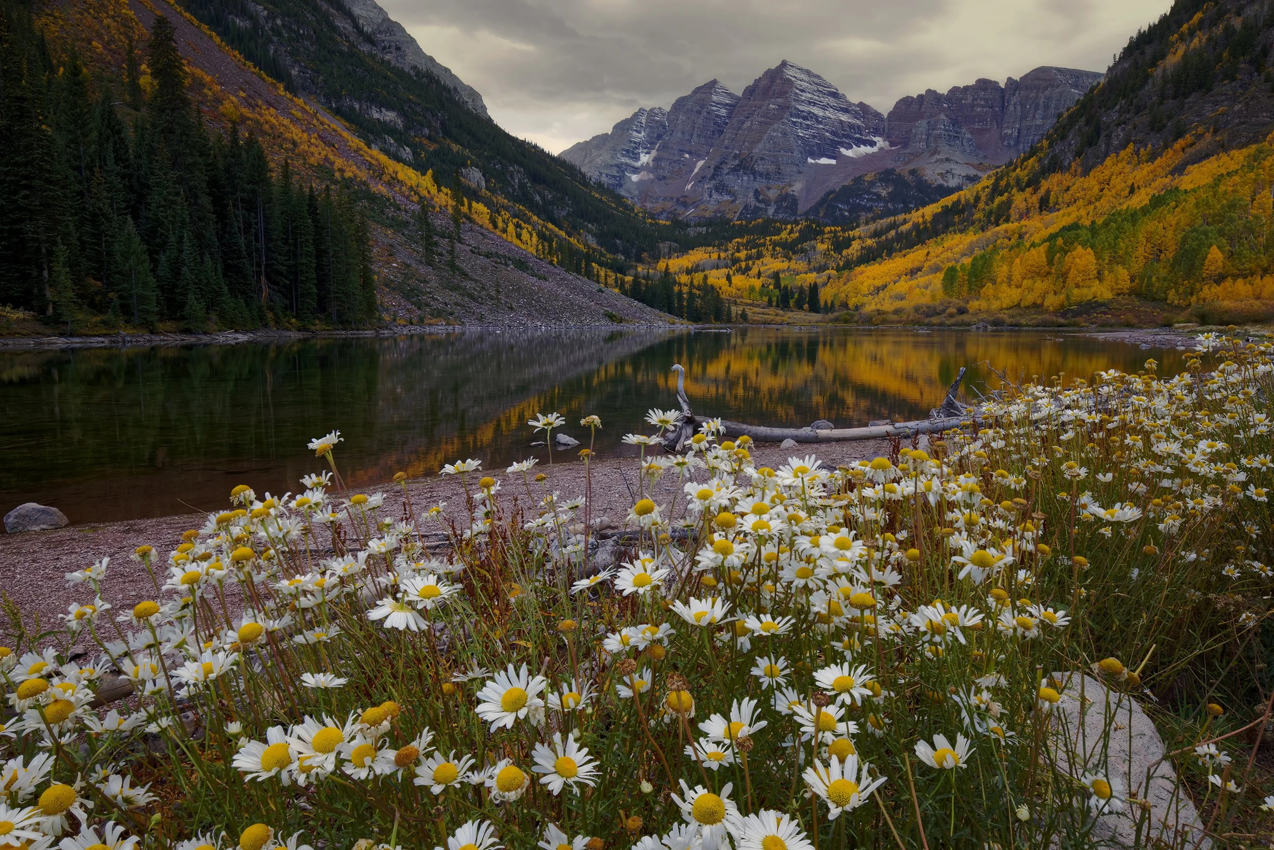 maroon-bells-colorado-autumn-wildflowers-rocky-mountains-lake-reflection.jpg