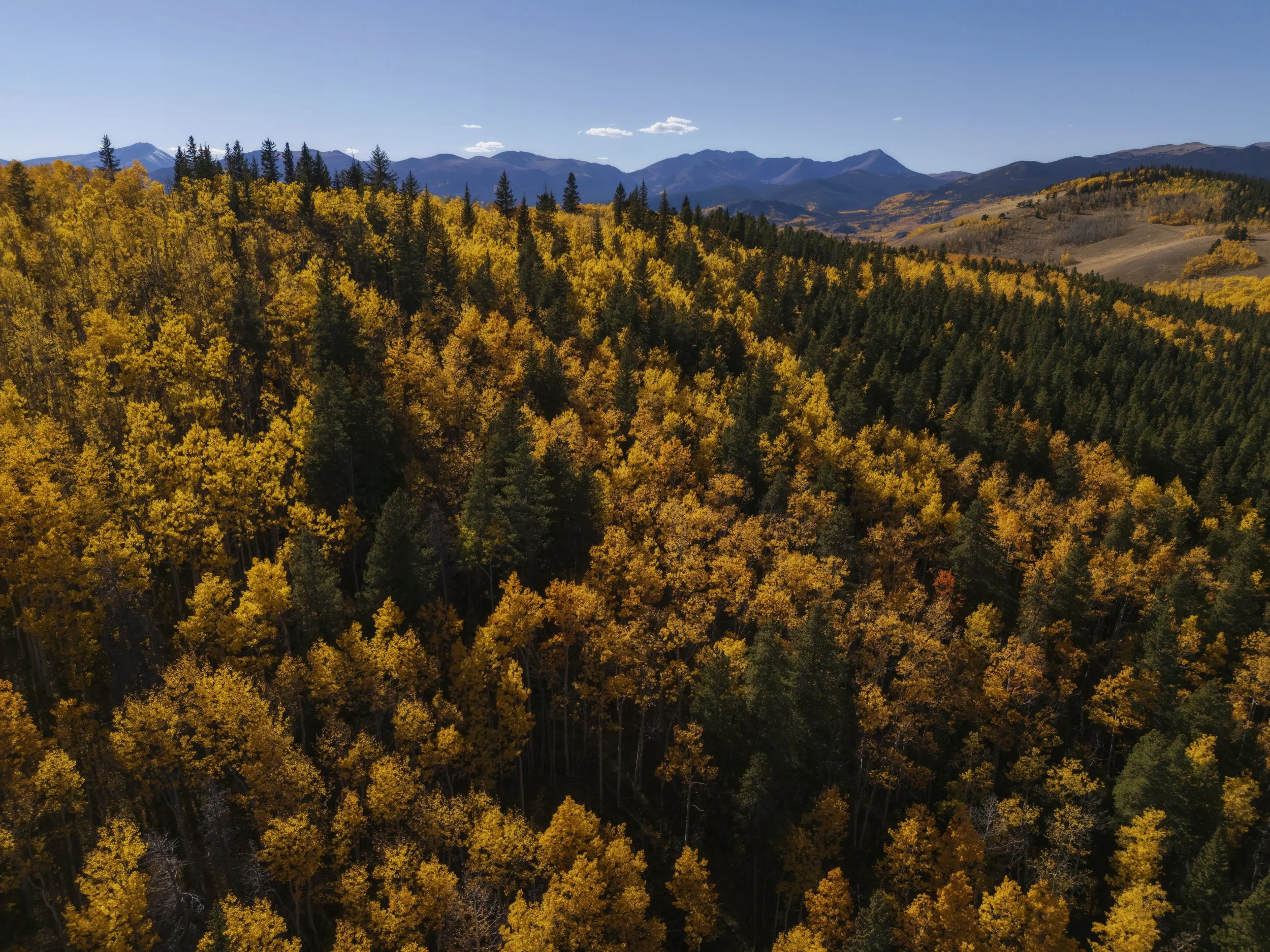 Colorado Gold Rush