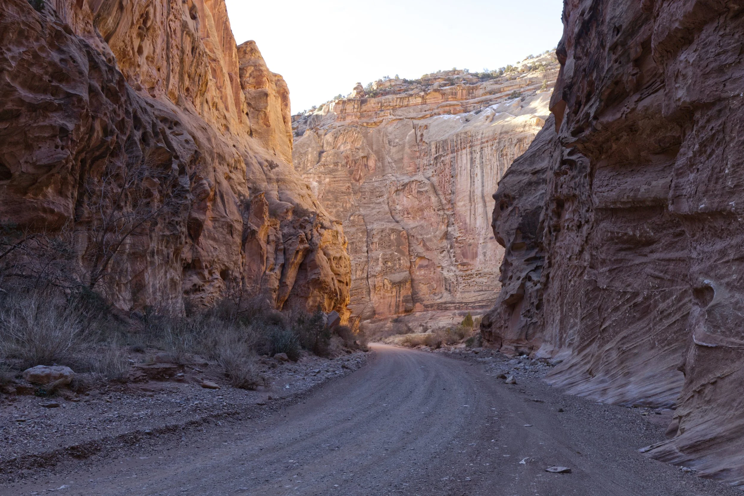 Towering Walls over the Grand Gorge