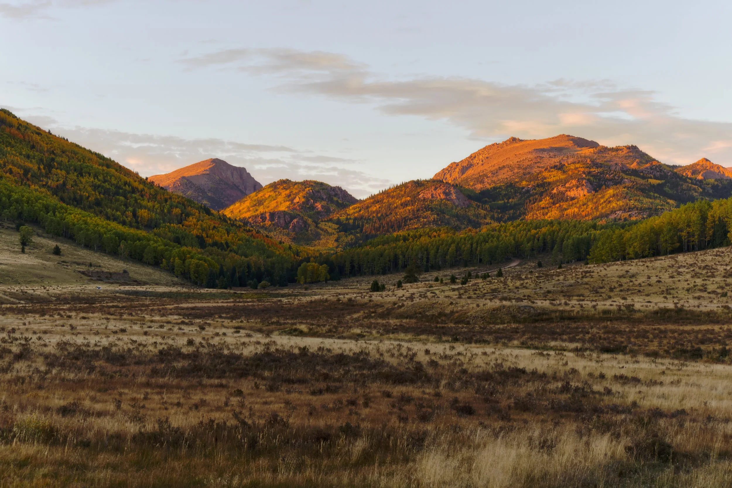 Autumn Evenings