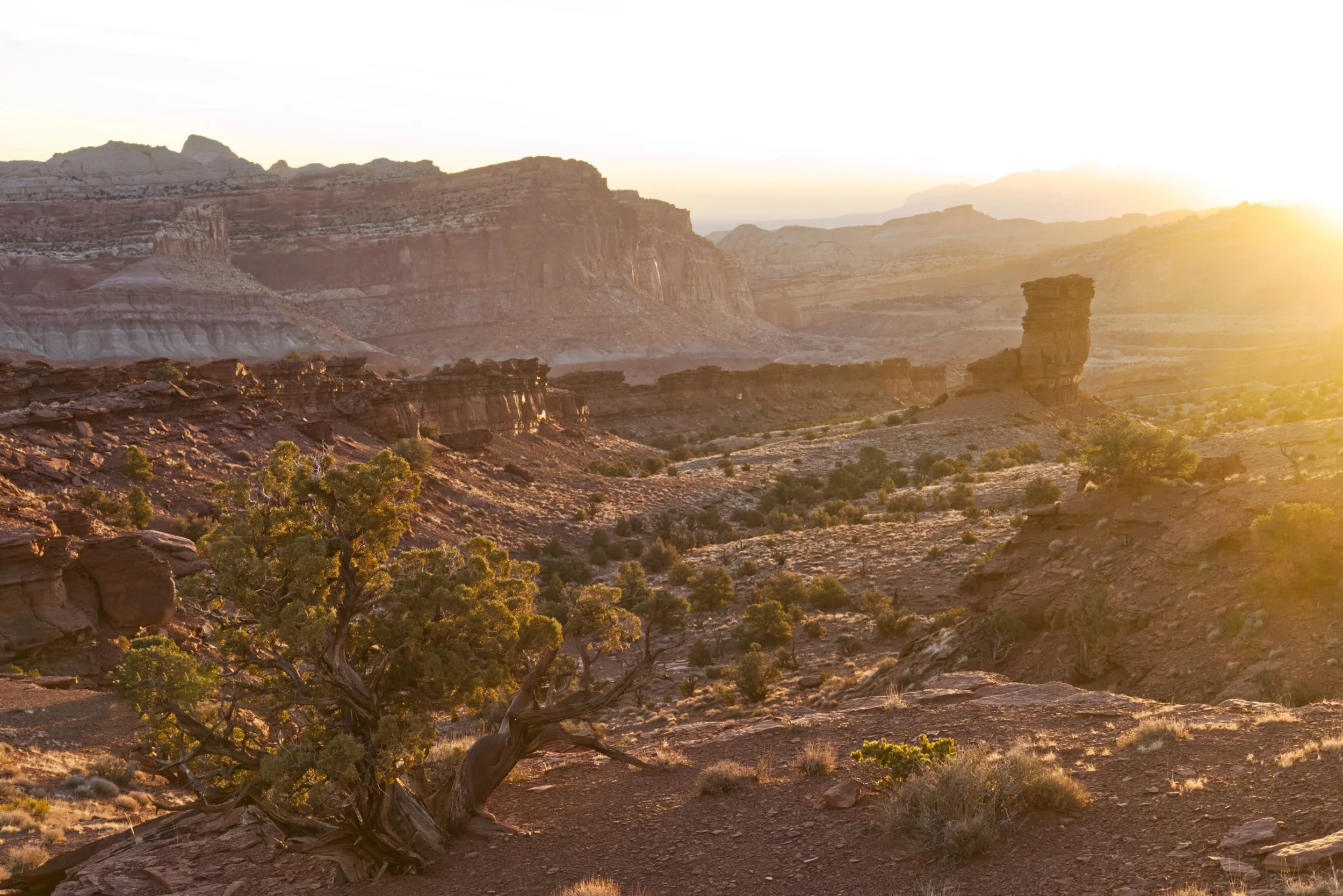 Daybreak in Red Rock Country