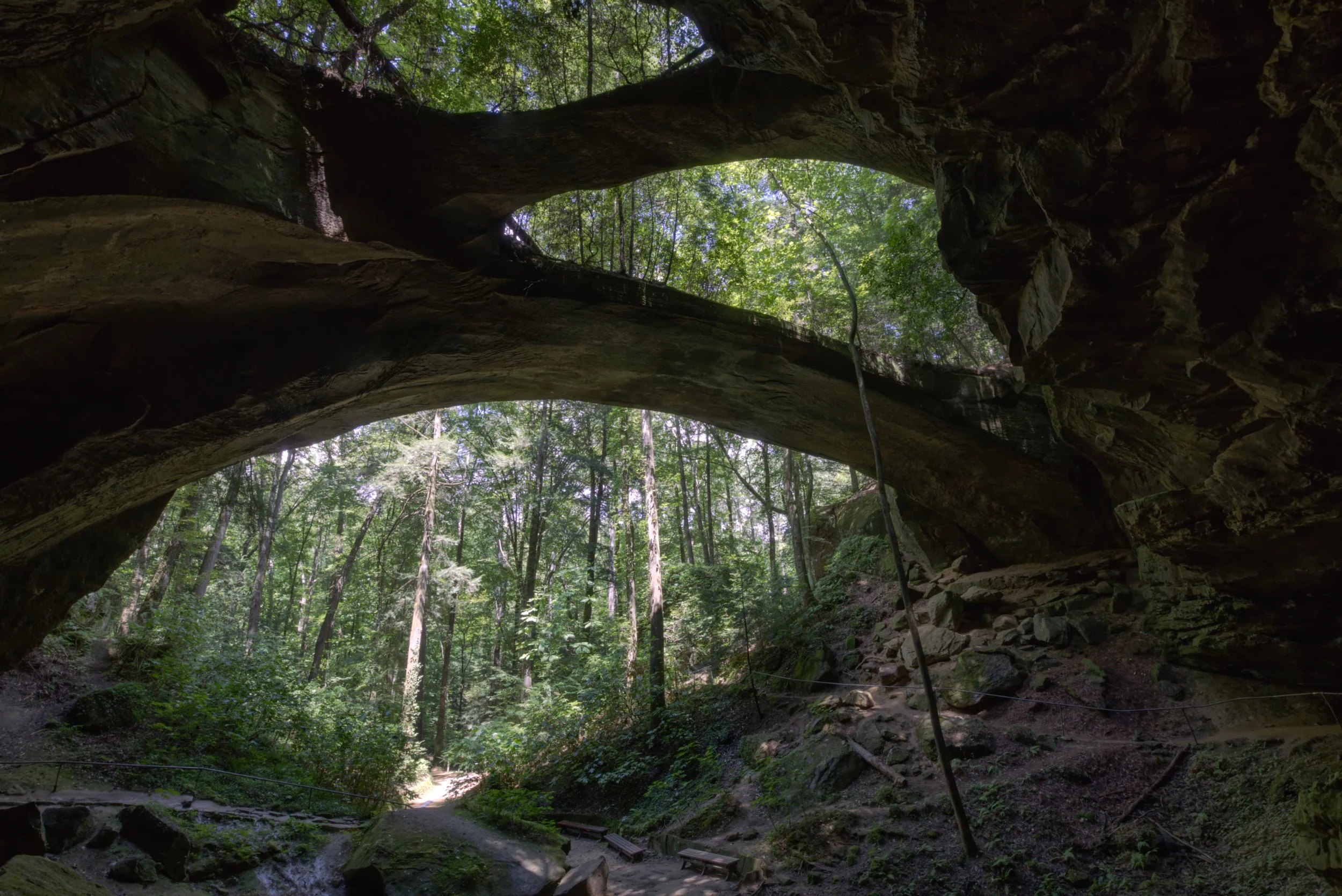 Arches in the Forest