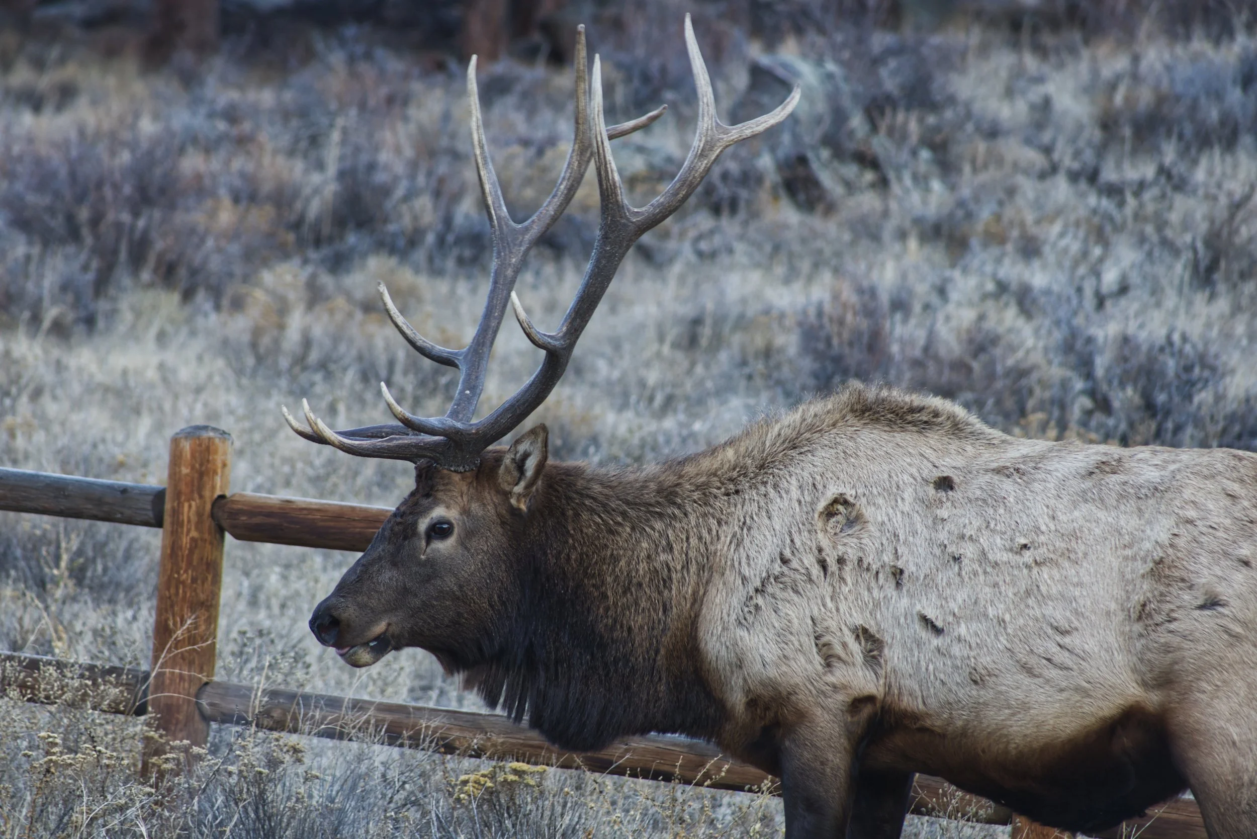 Preparing for Winter