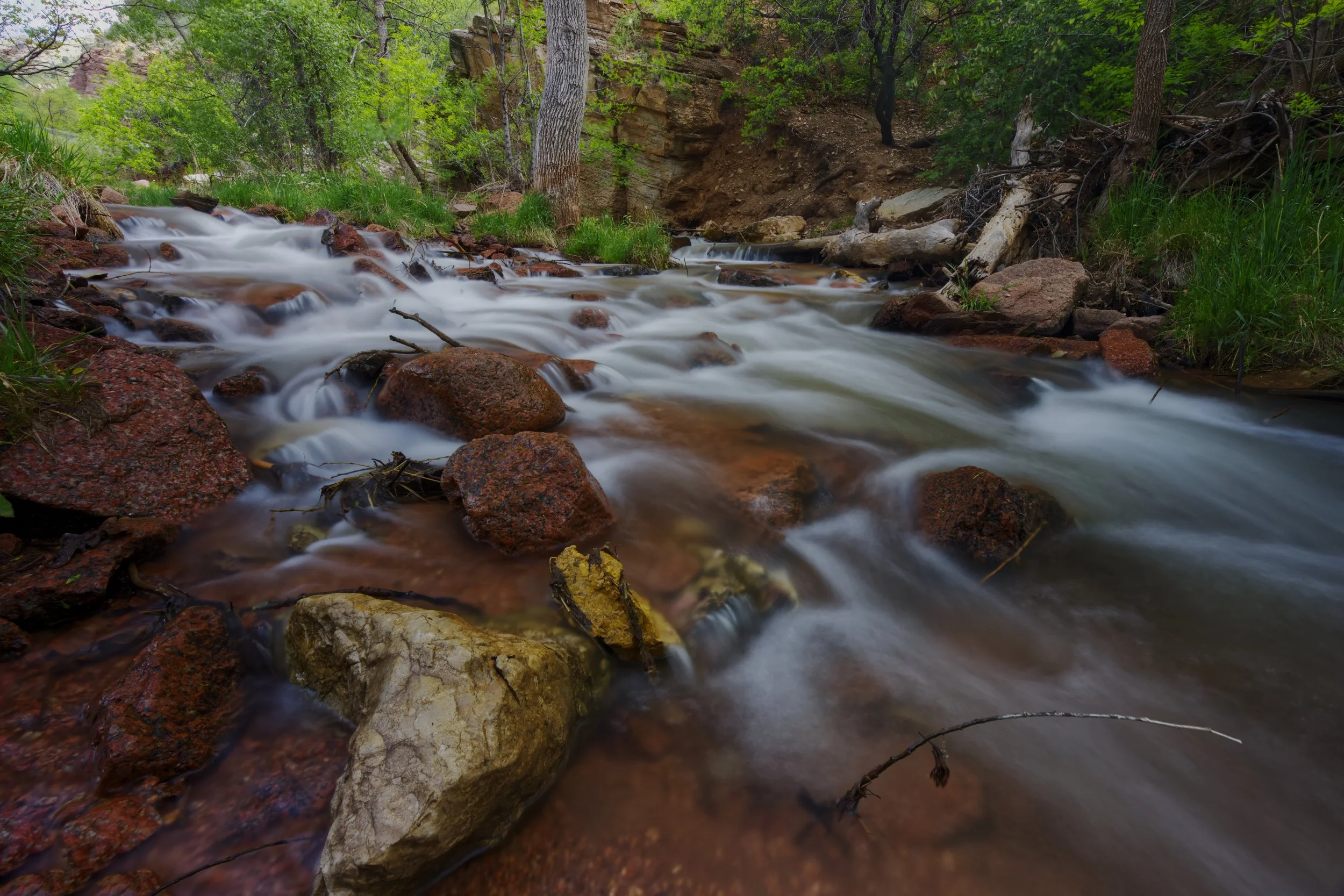 Spring Flow along a Manitou Creek