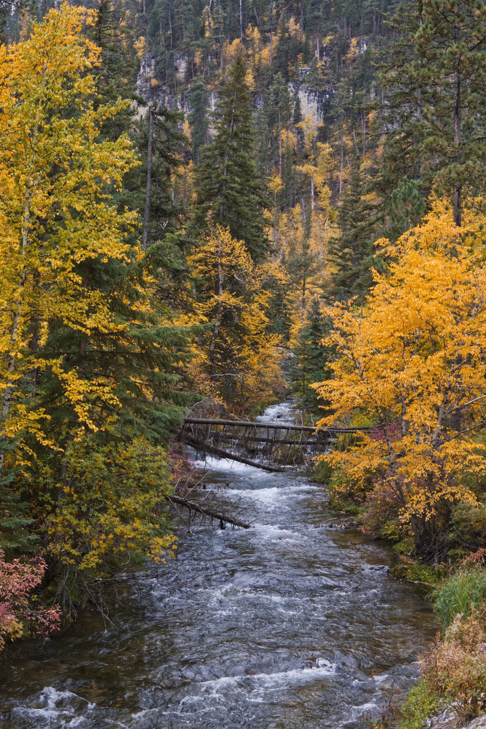 Bright Foliage and Mountain Waters