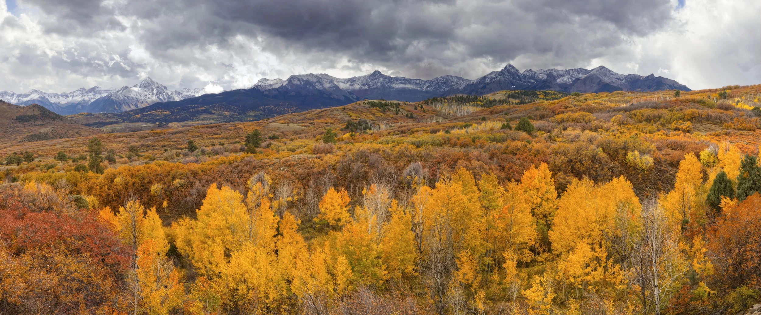 Peak Foliage on the Dallas Divide