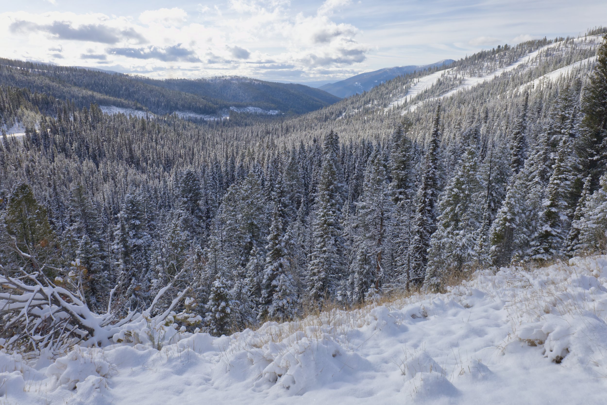 Winter in the Lost Trail Pass