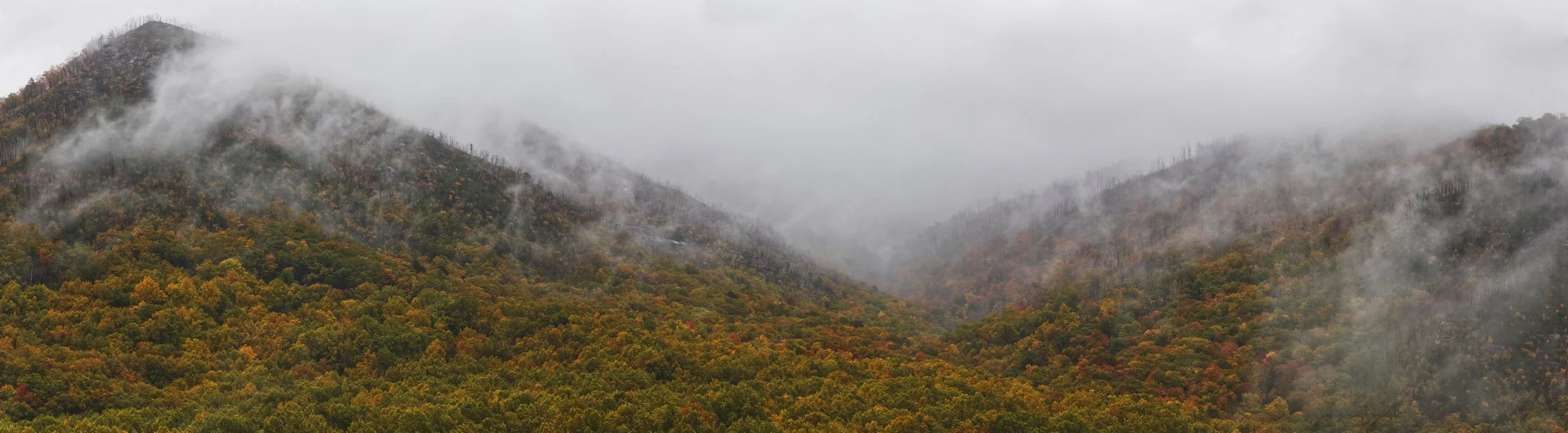 Smoky Mountains on an Late October Morning