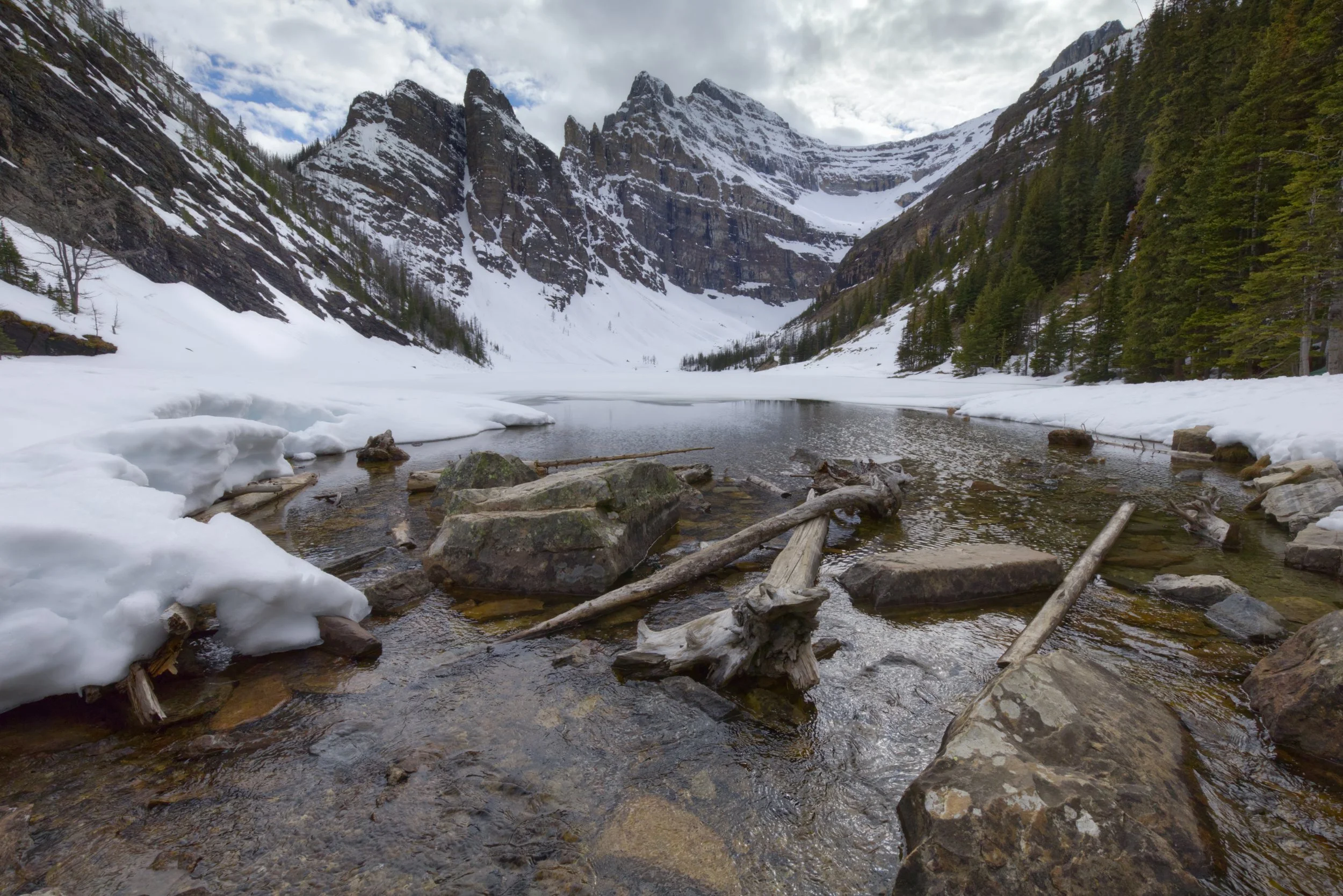 Late Winter in the Wilderness