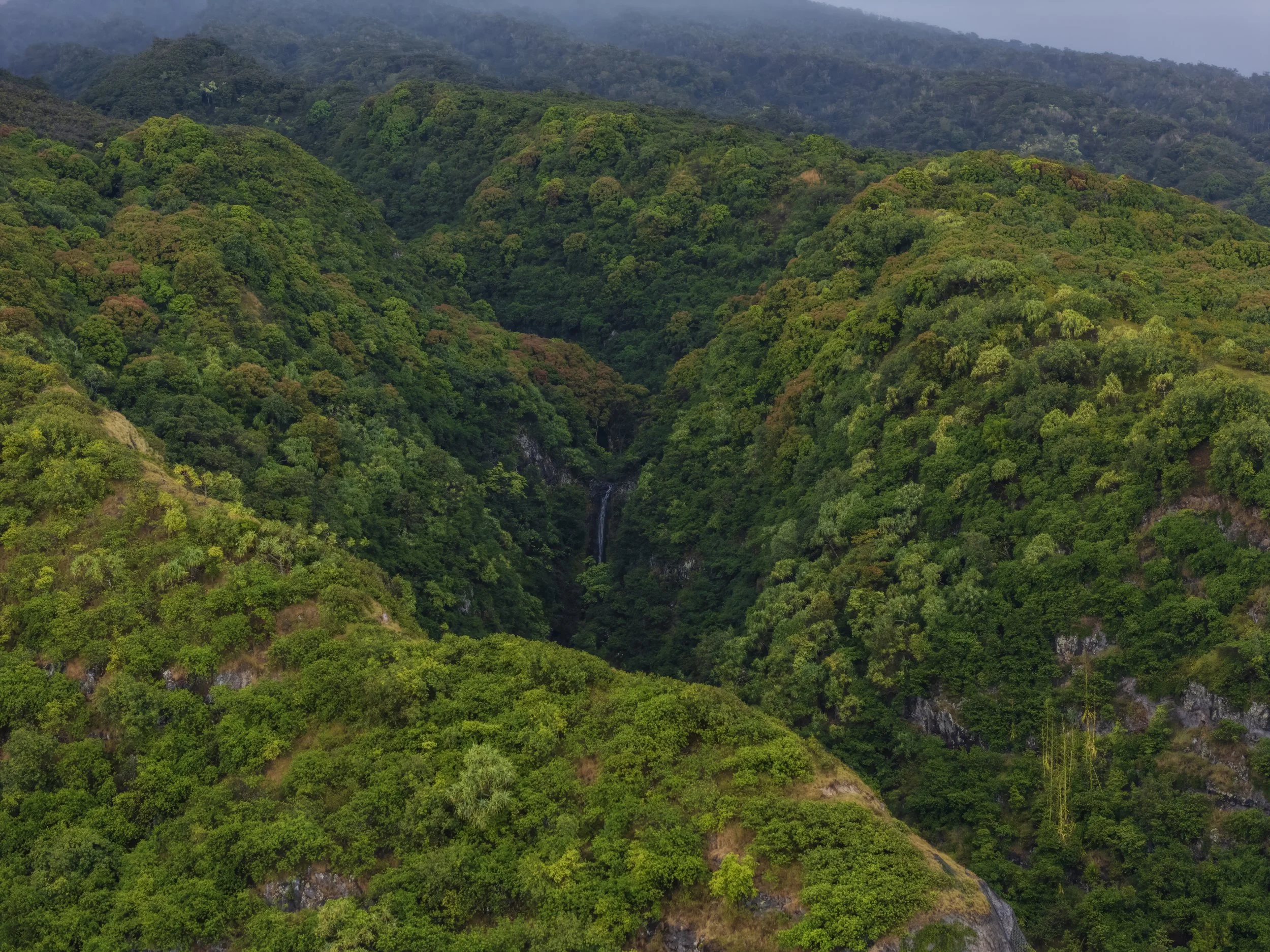 Hidden Falls in the Rainforest