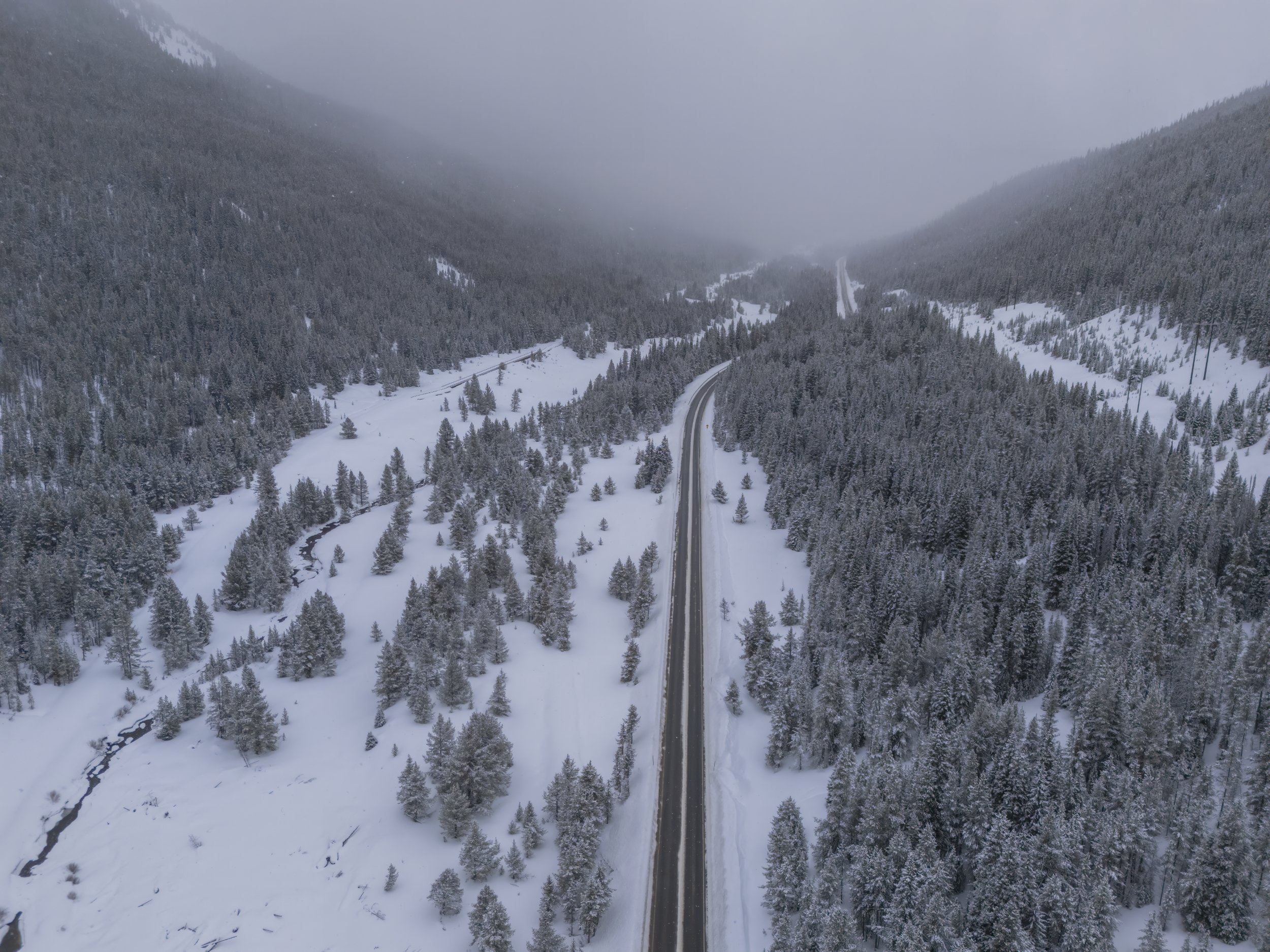 Rocky Mountain Whiteout