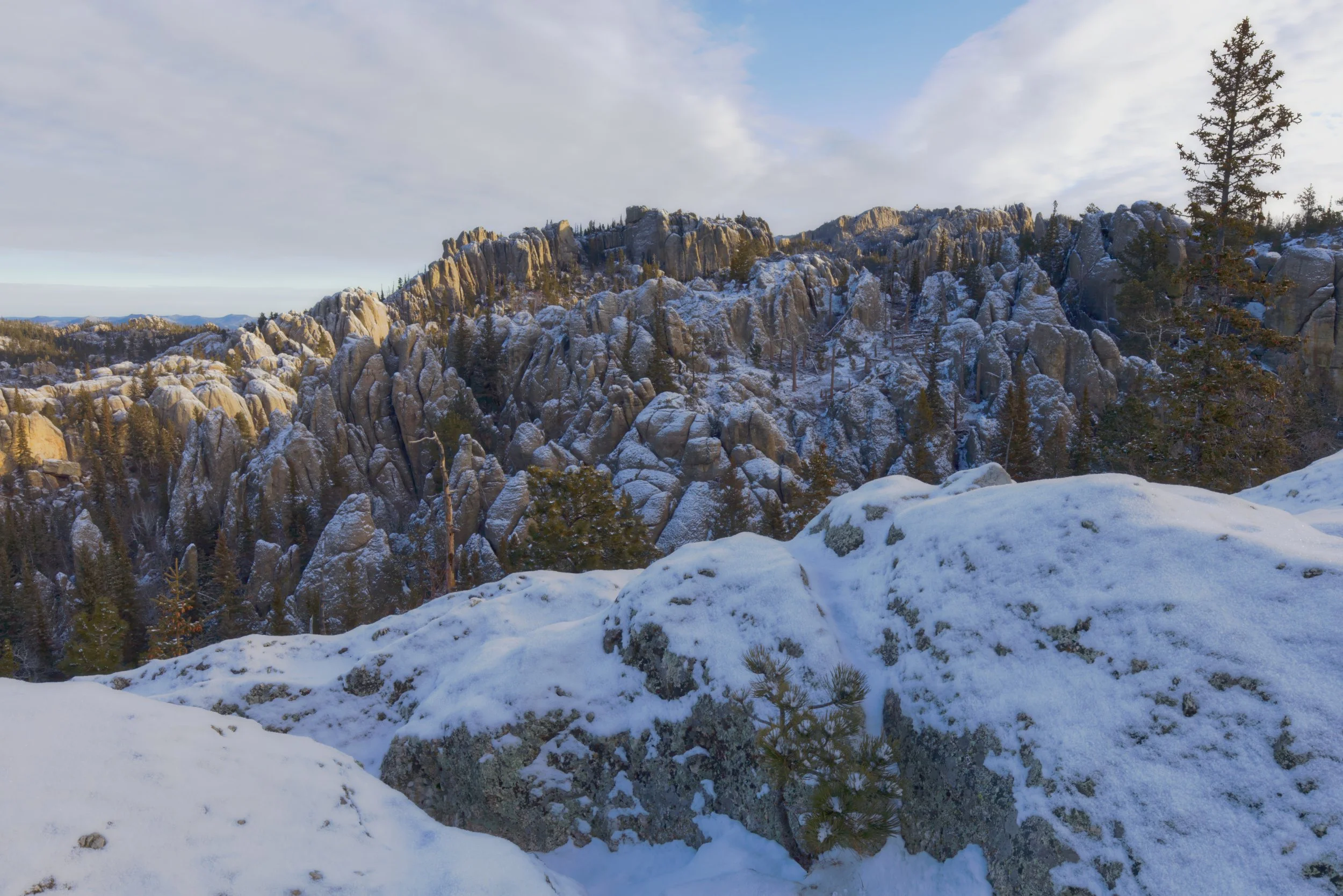 Morning Snow in the Wilderness
