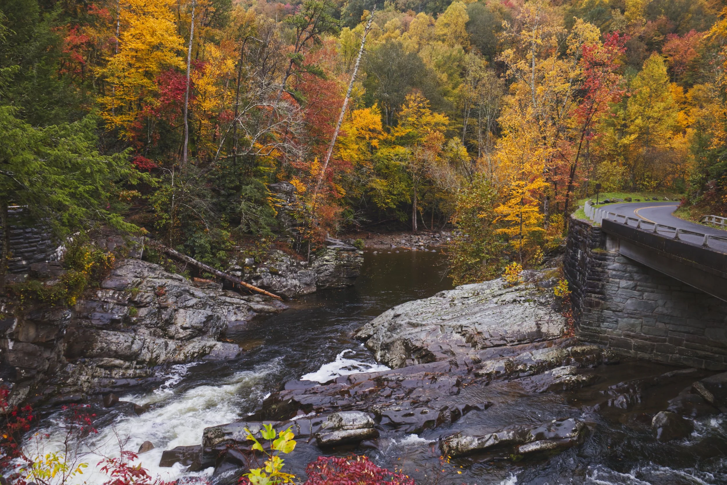 Curving Roads by the Autumnal River