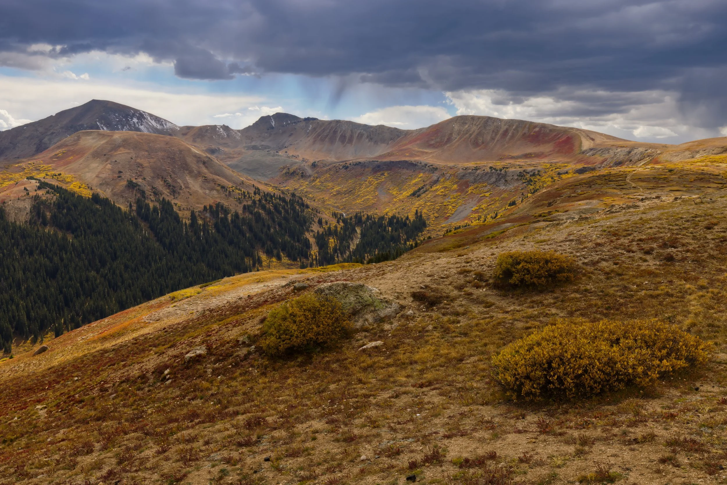 Autumn in the Alpine