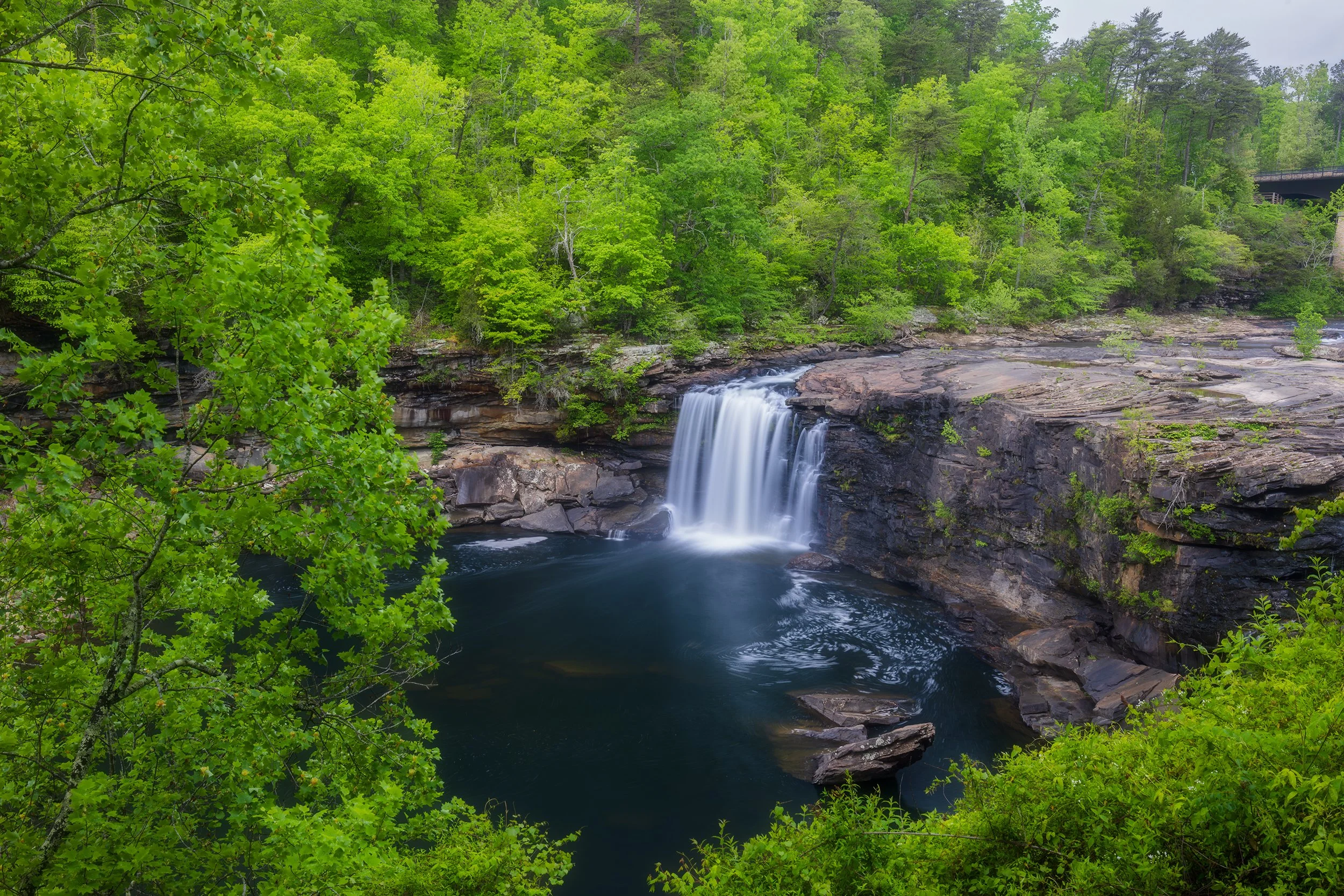 Rainy Day at the Falls.jpg
